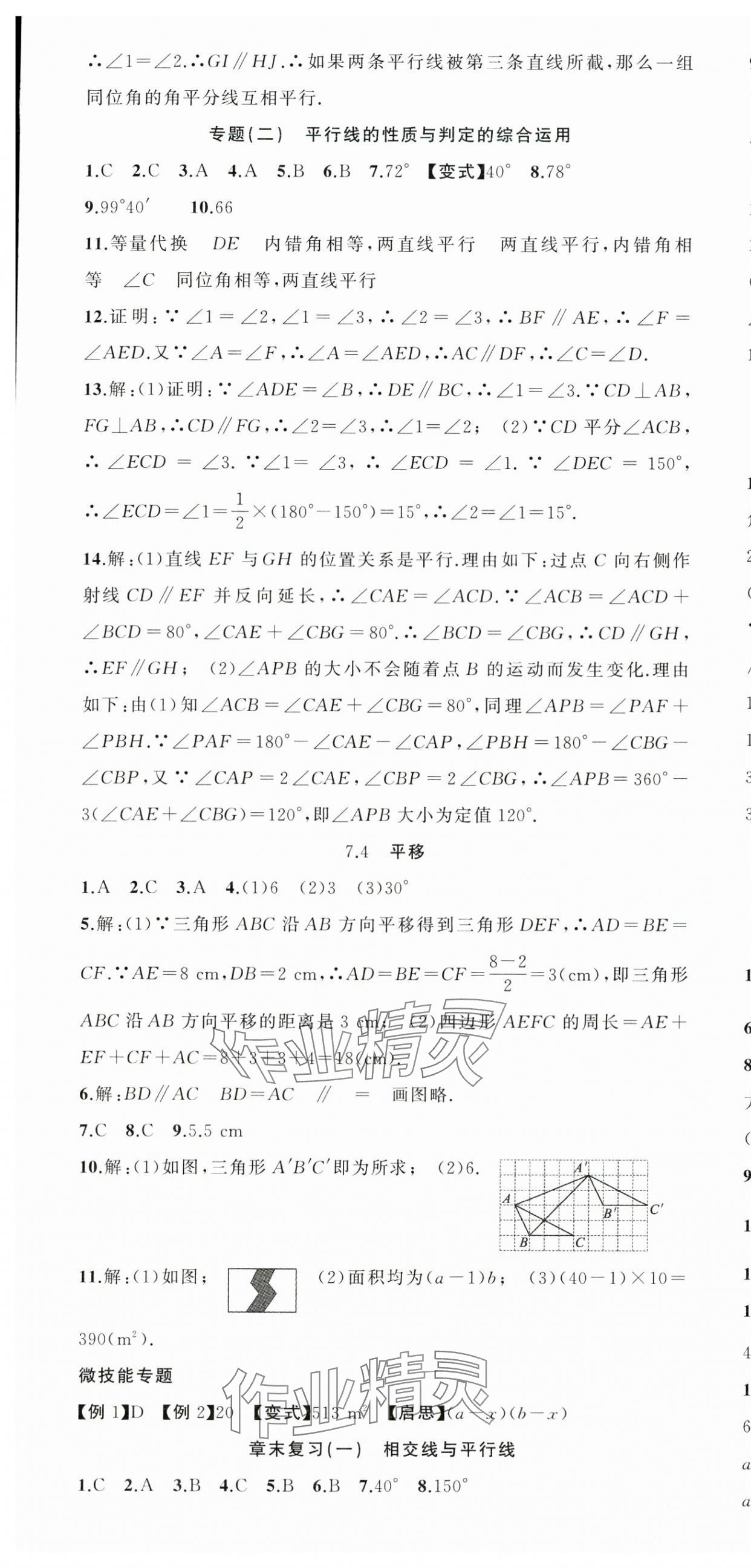 2025年同步作業(yè)本練闖考七年級數(shù)學(xué)下冊人教版安徽專版 第7頁