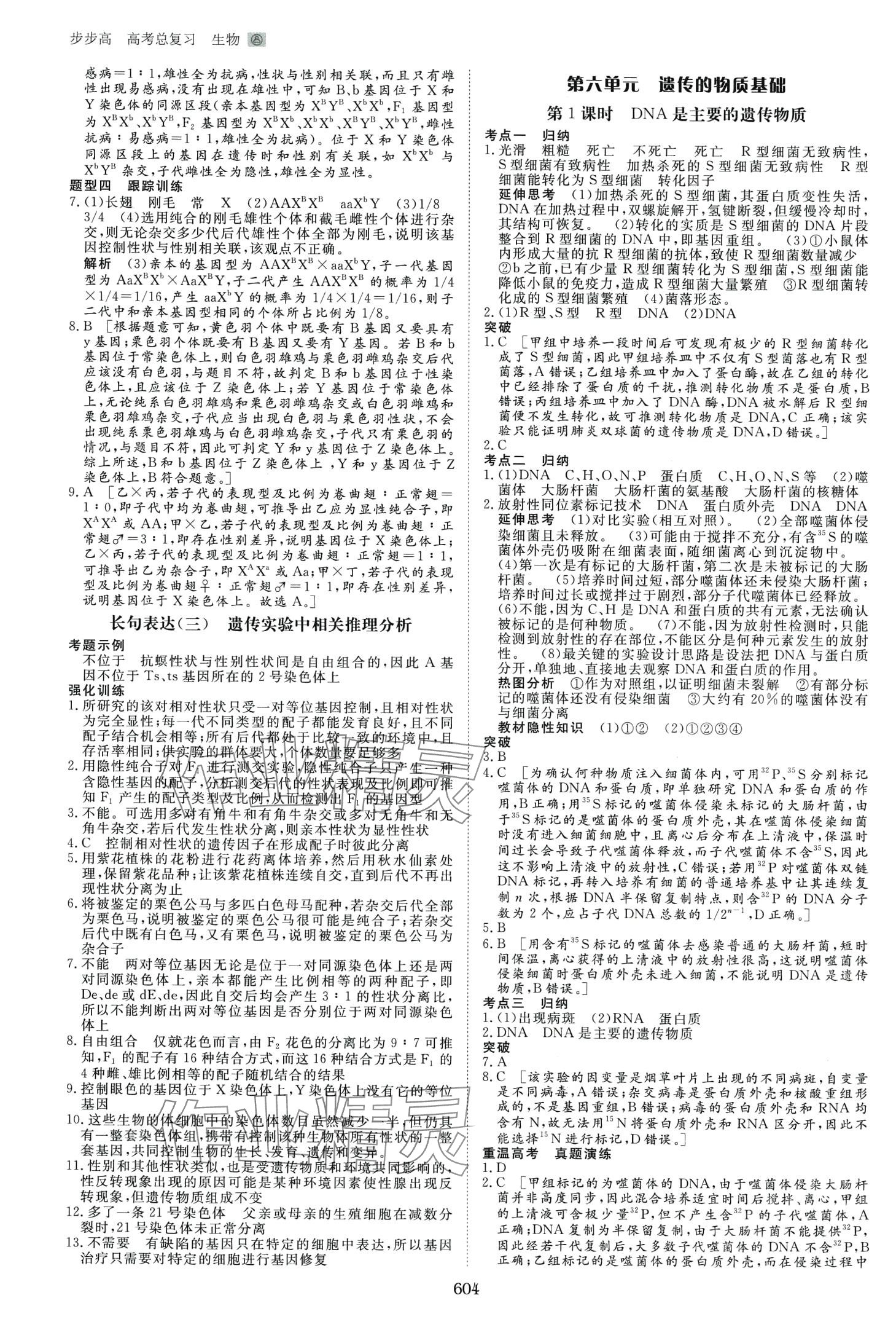 2024年步步高高考總復習大一輪復習講義高中生物通用版 第20頁