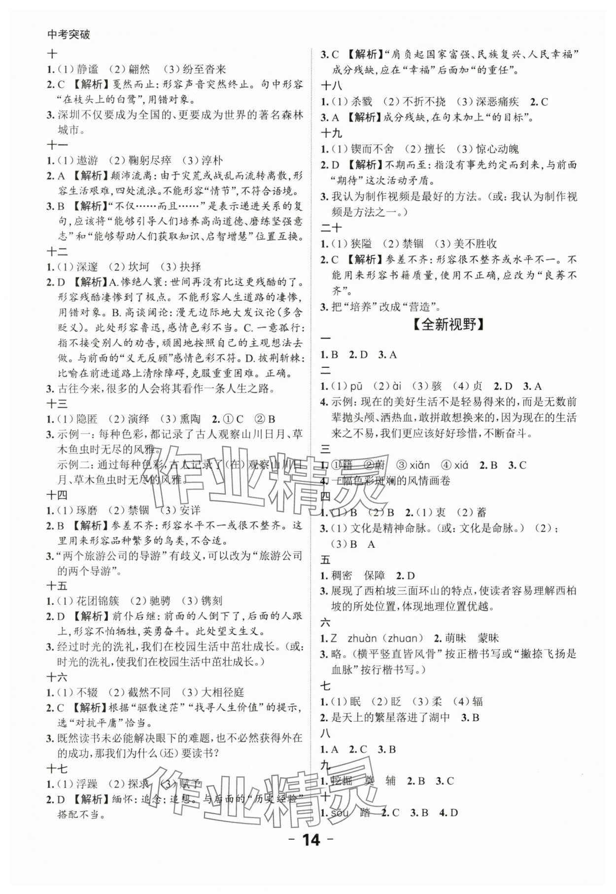 2024年中考突破語文 第14頁