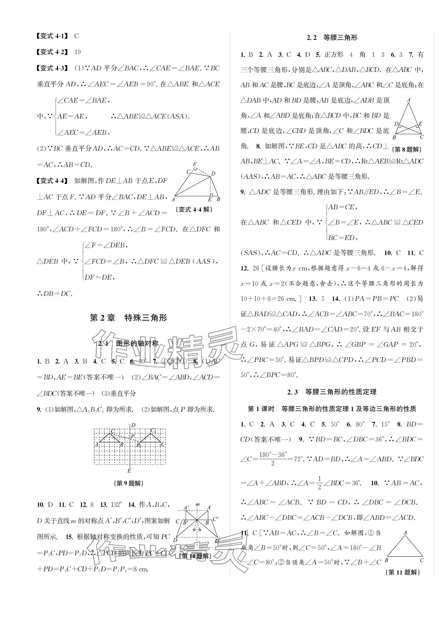 2023年自主輕松練八年級(jí)數(shù)學(xué)上冊(cè)浙教版 第5頁(yè)