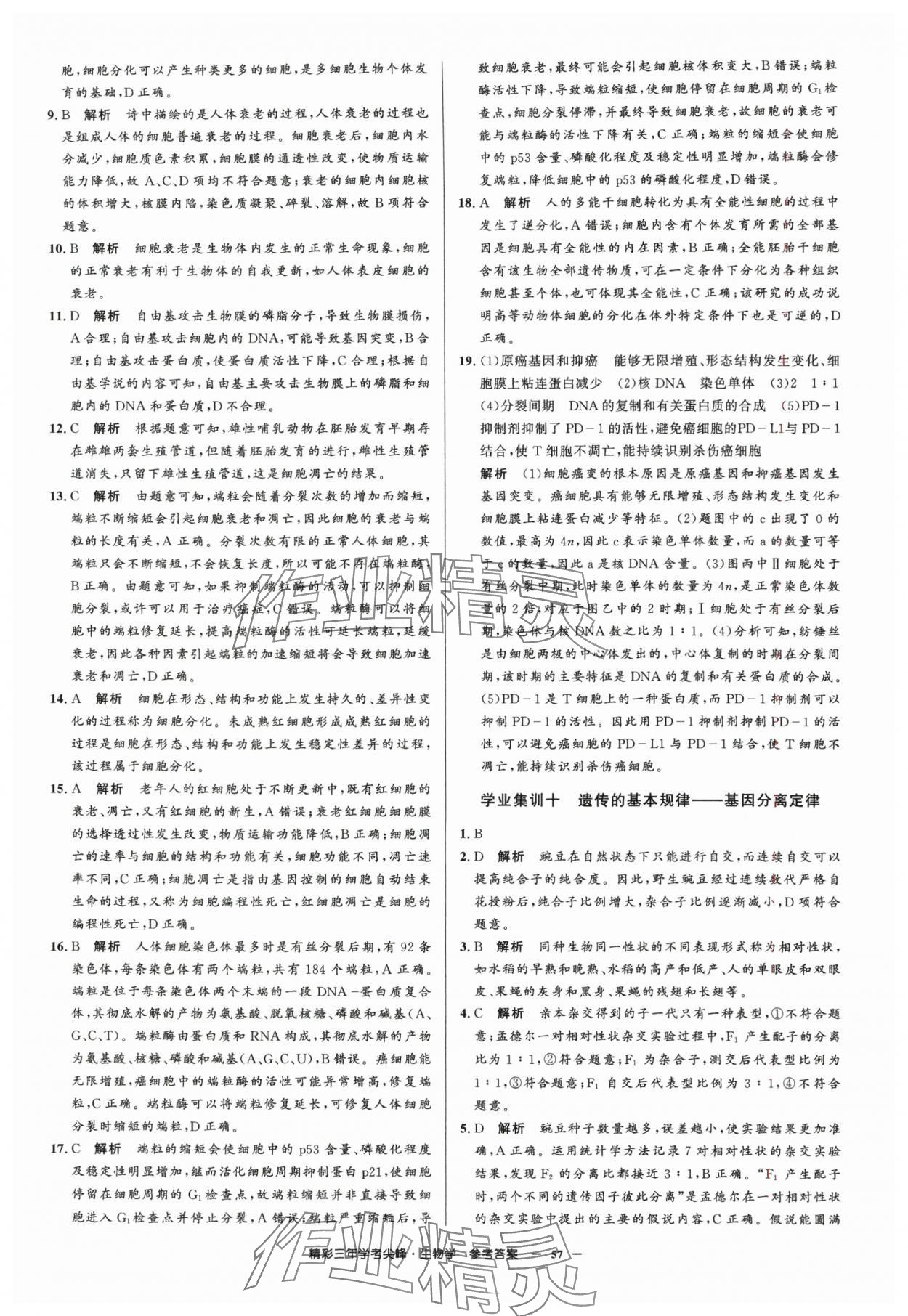2025年精彩三年學考尖峰生物浙江專版 第11頁