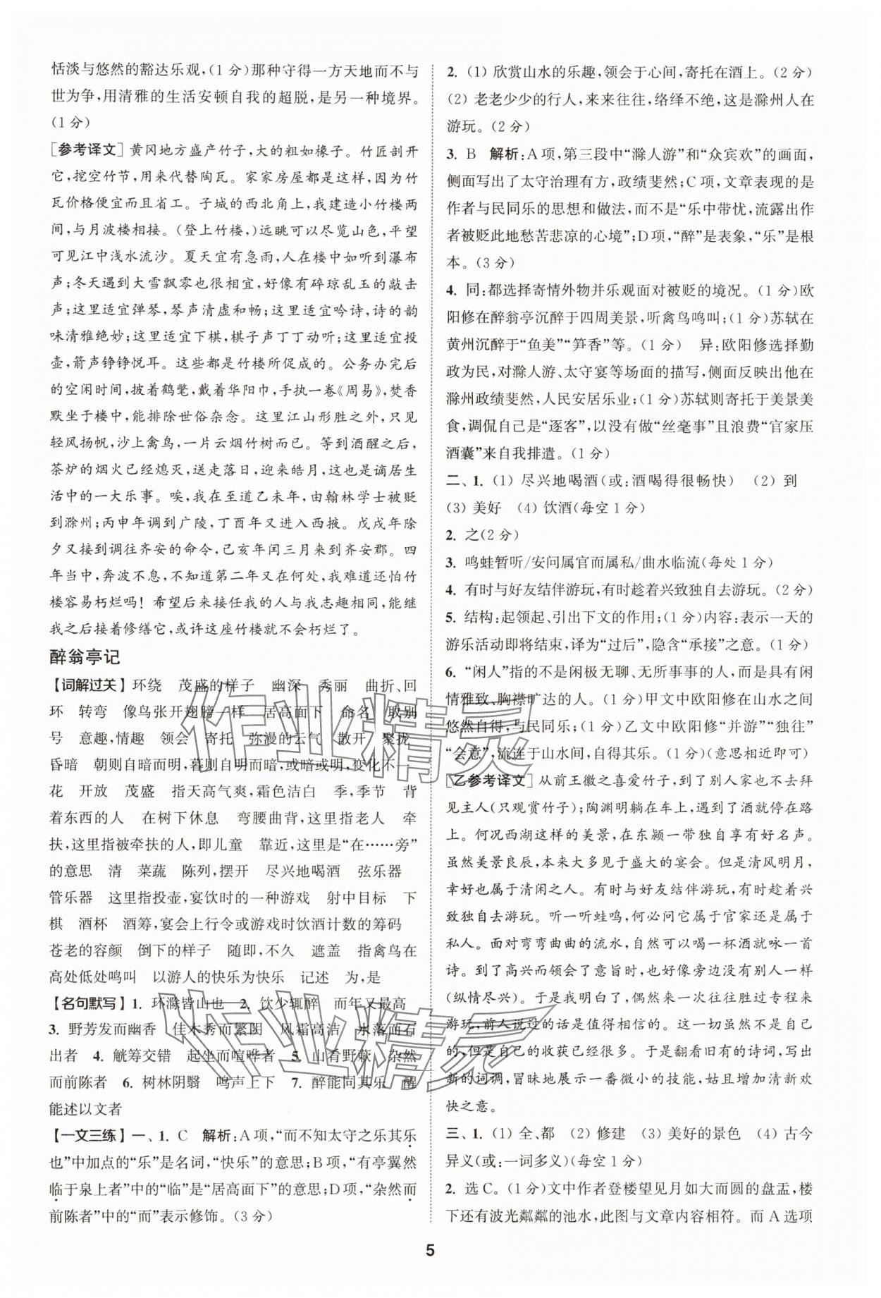2025年拔尖特訓(xùn)九年級語文人教版 第5頁