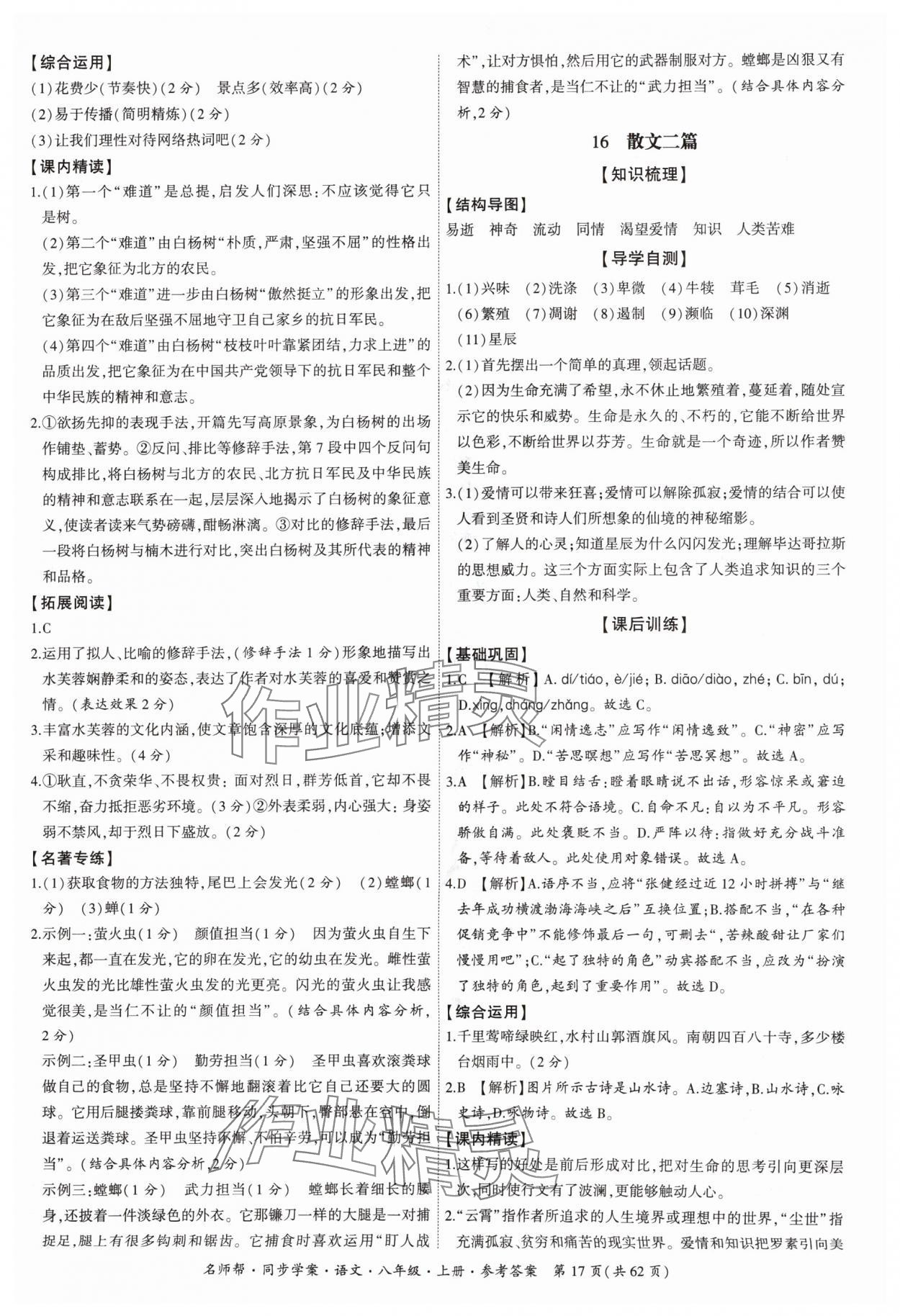 2024年名師幫同步學(xué)案八年級語文上冊人教版 參考答案第17頁