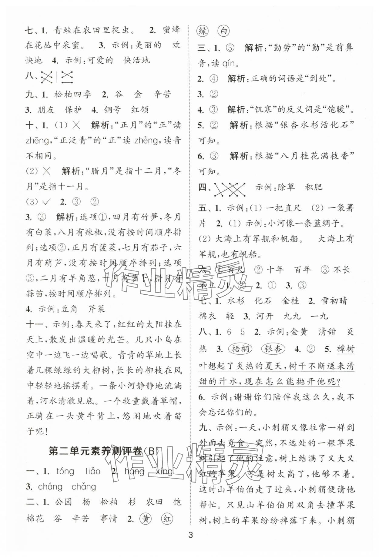 2025年通城學(xué)典全程測(cè)評(píng)卷二年級(jí)語(yǔ)文上冊(cè)人教版江蘇專版 第3頁(yè)