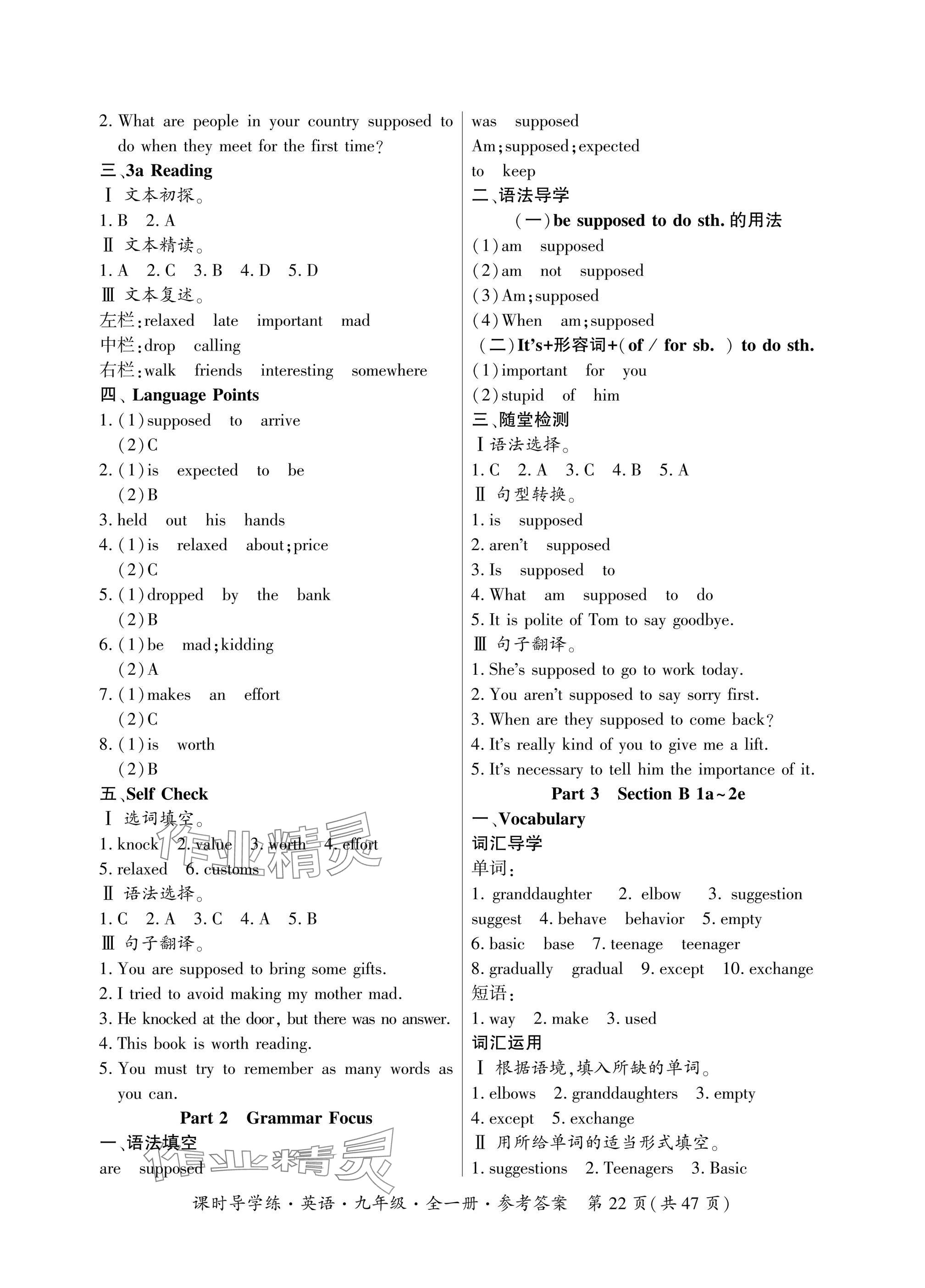 2024年課時導(dǎo)學(xué)練九年級英語全一冊人教版廣東專版 參考答案第22頁