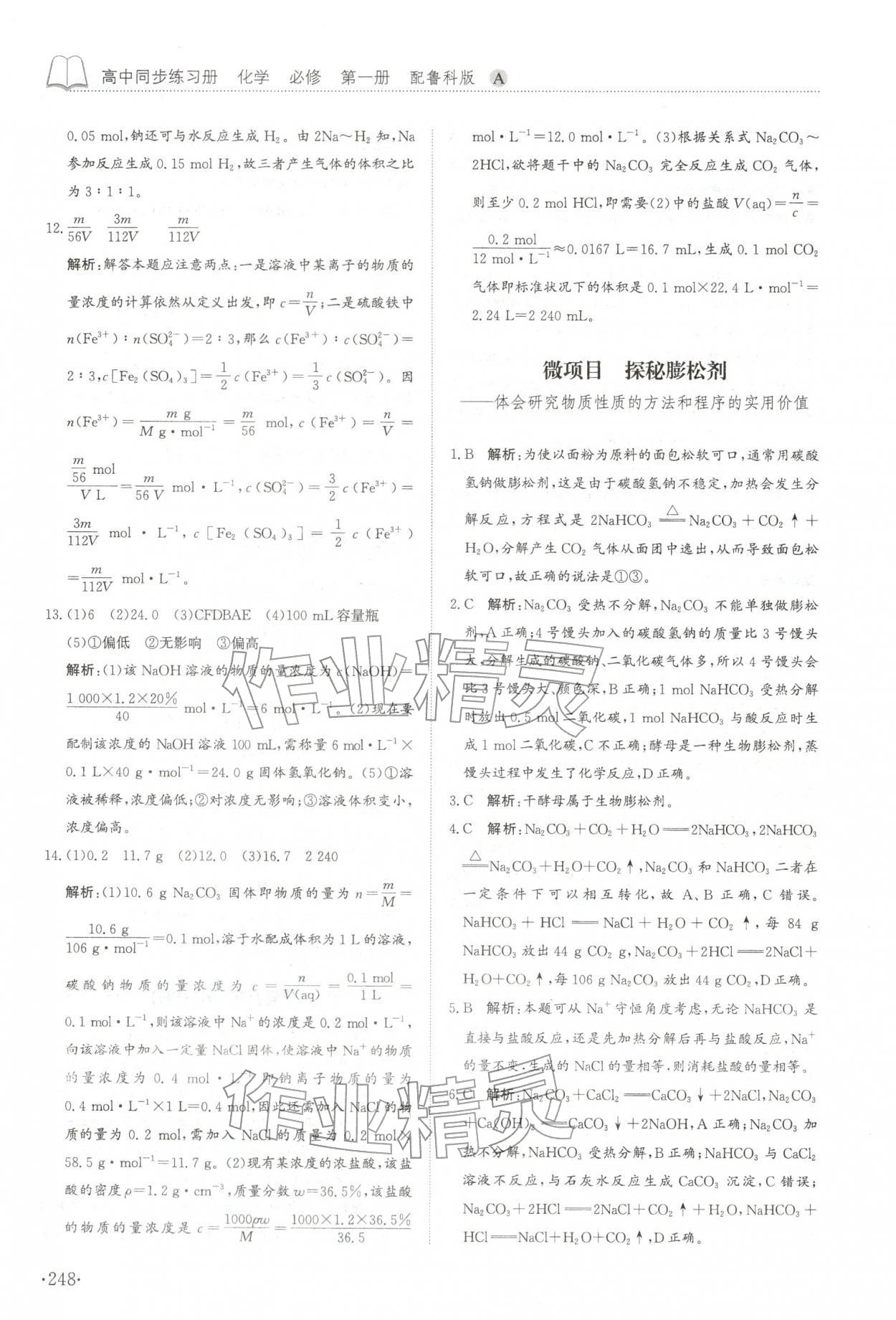 2025年同步練習(xí)冊山東科學(xué)技術(shù)出版社高中化學(xué)必修第一冊魯科版A 參考答案第12頁
