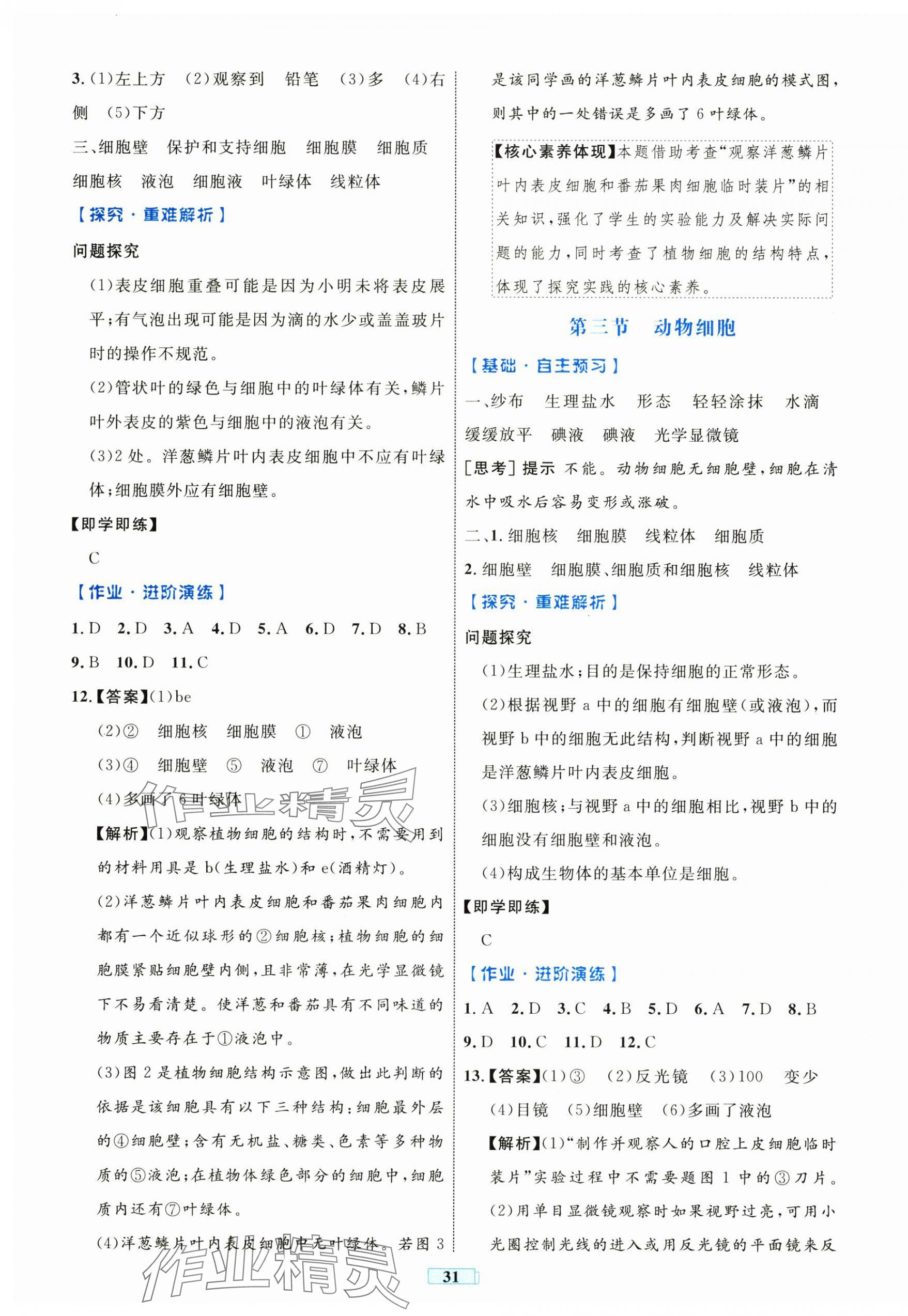 2024年同步學(xué)習(xí)目標(biāo)與檢測七年級生物上冊人教版 第3頁