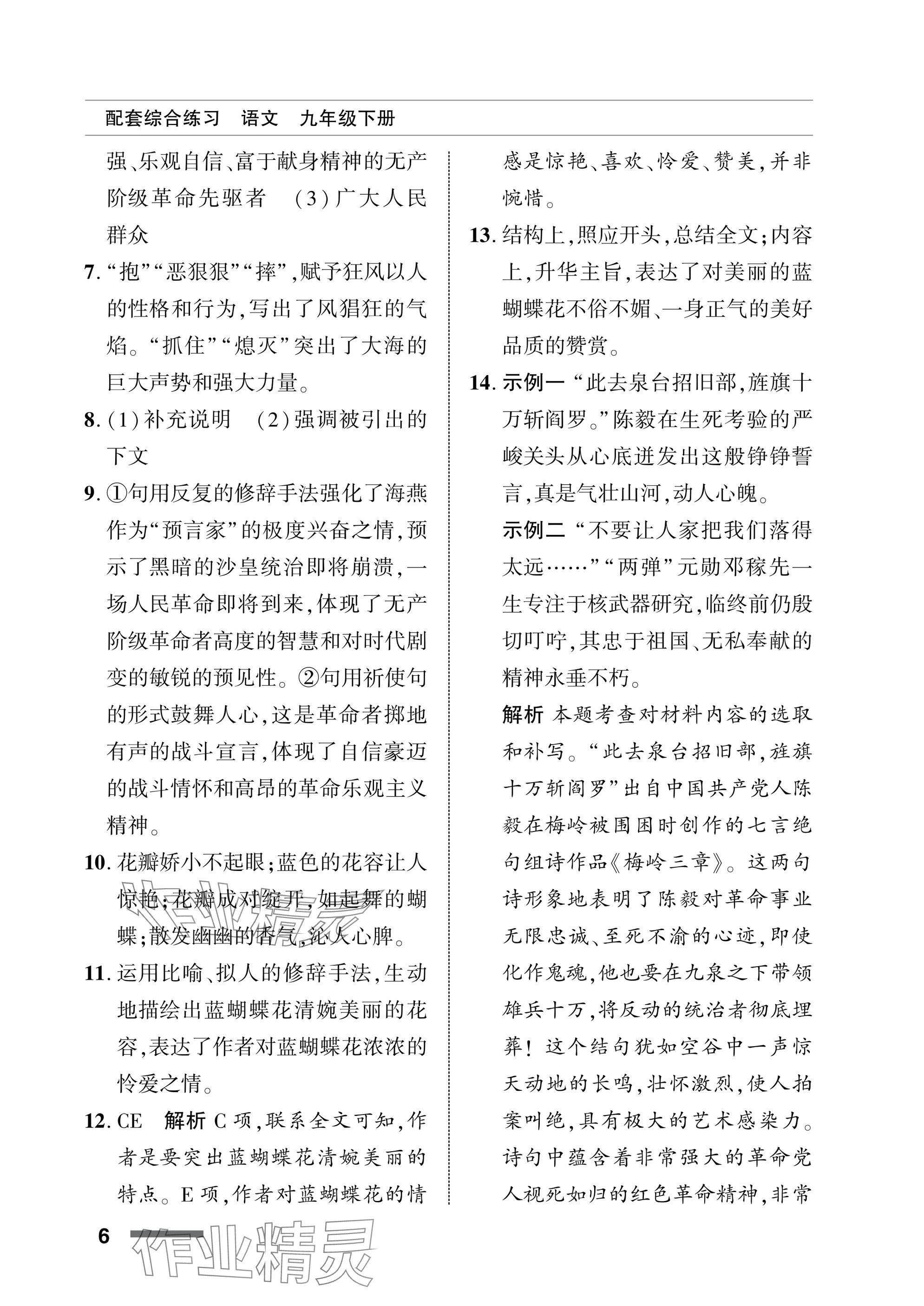 2025年配套綜合練習(xí)甘肅九年級語文下冊人教版 參考答案第6頁