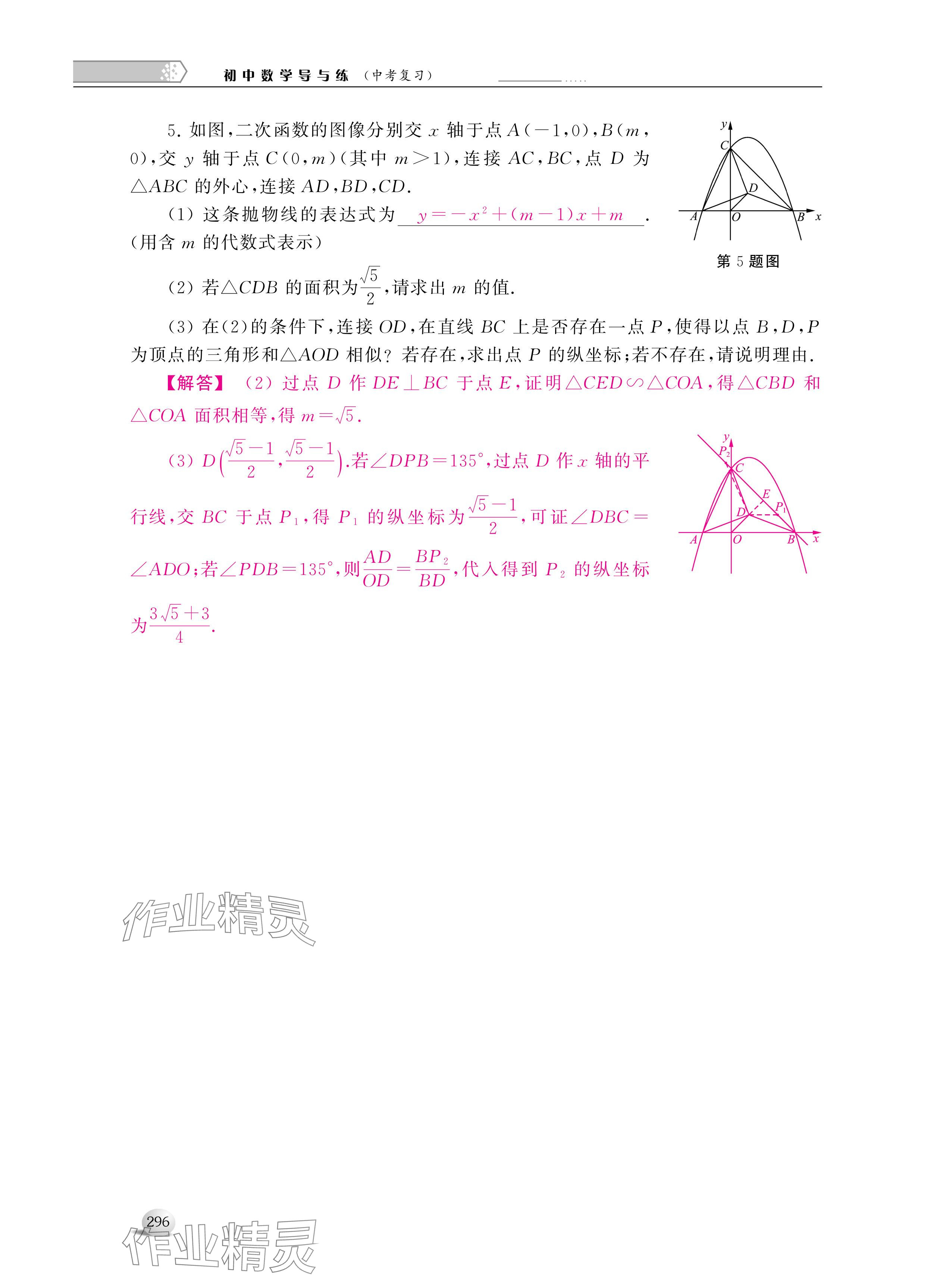 2024年導與練中考復習蘇州大學出版社數(shù)學 參考答案第8頁