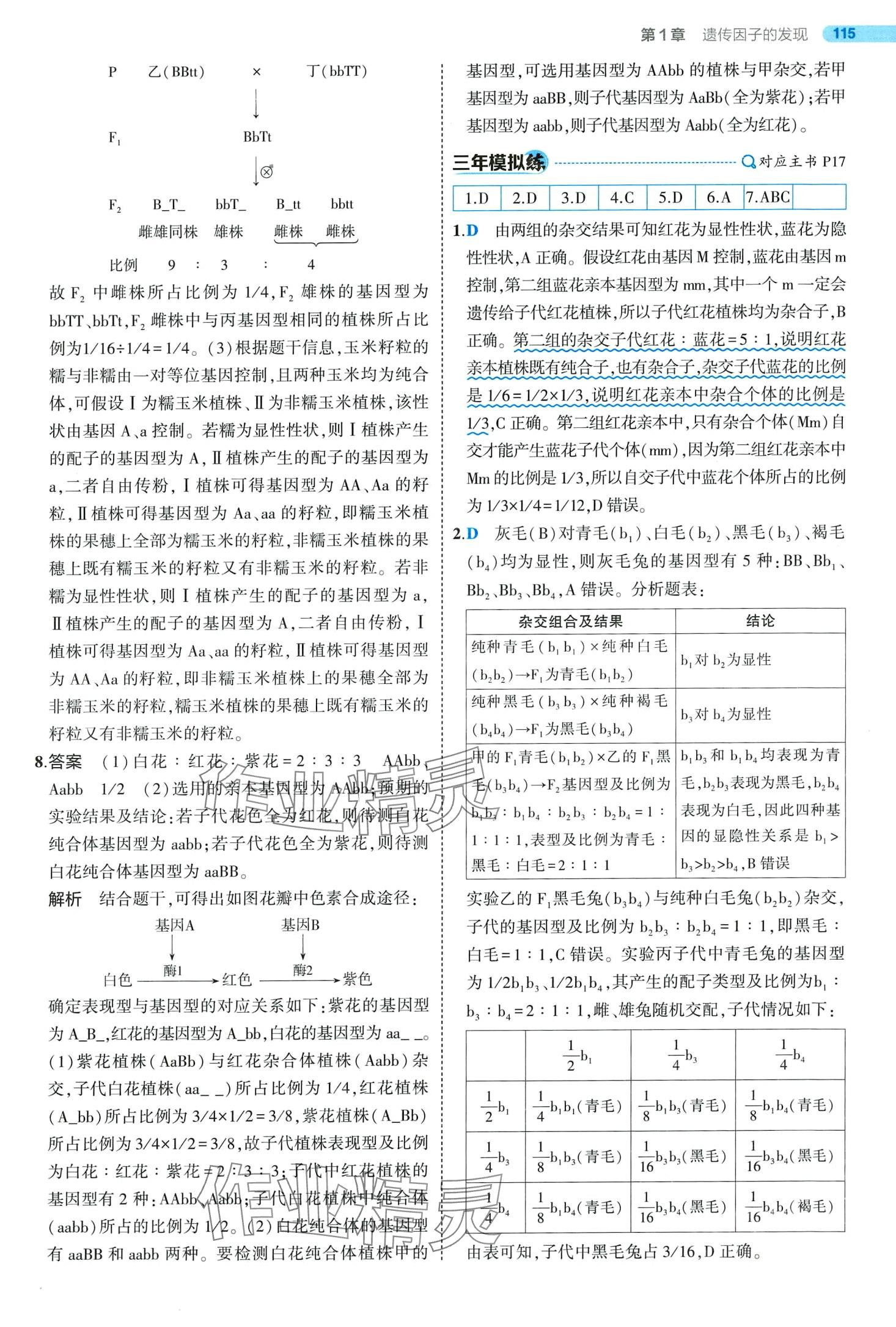 2024年5年高考3年模拟高中生物必修2人教版 第15页