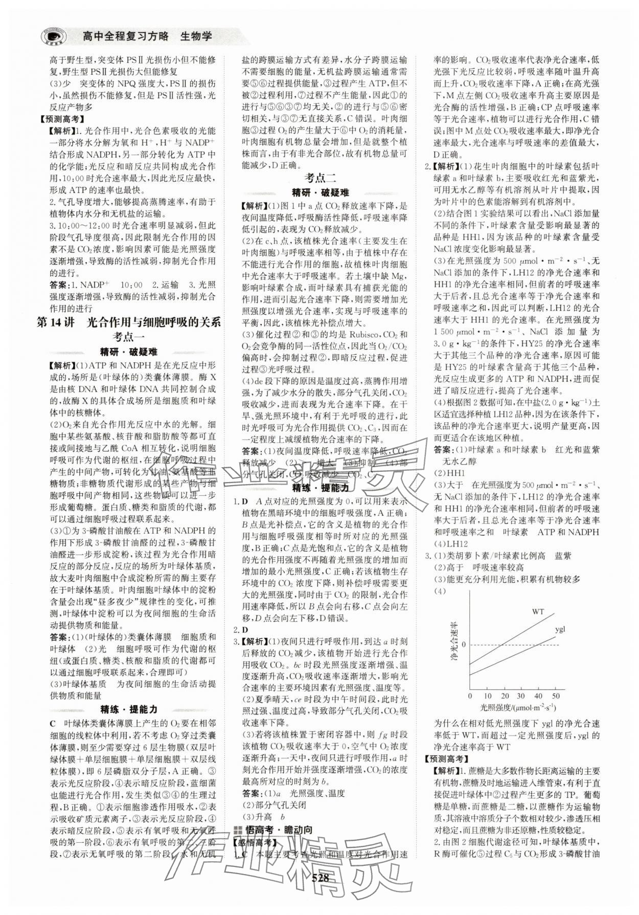 2025年世紀(jì)金榜高中全程復(fù)習(xí)方略生物&nbsp;第12頁