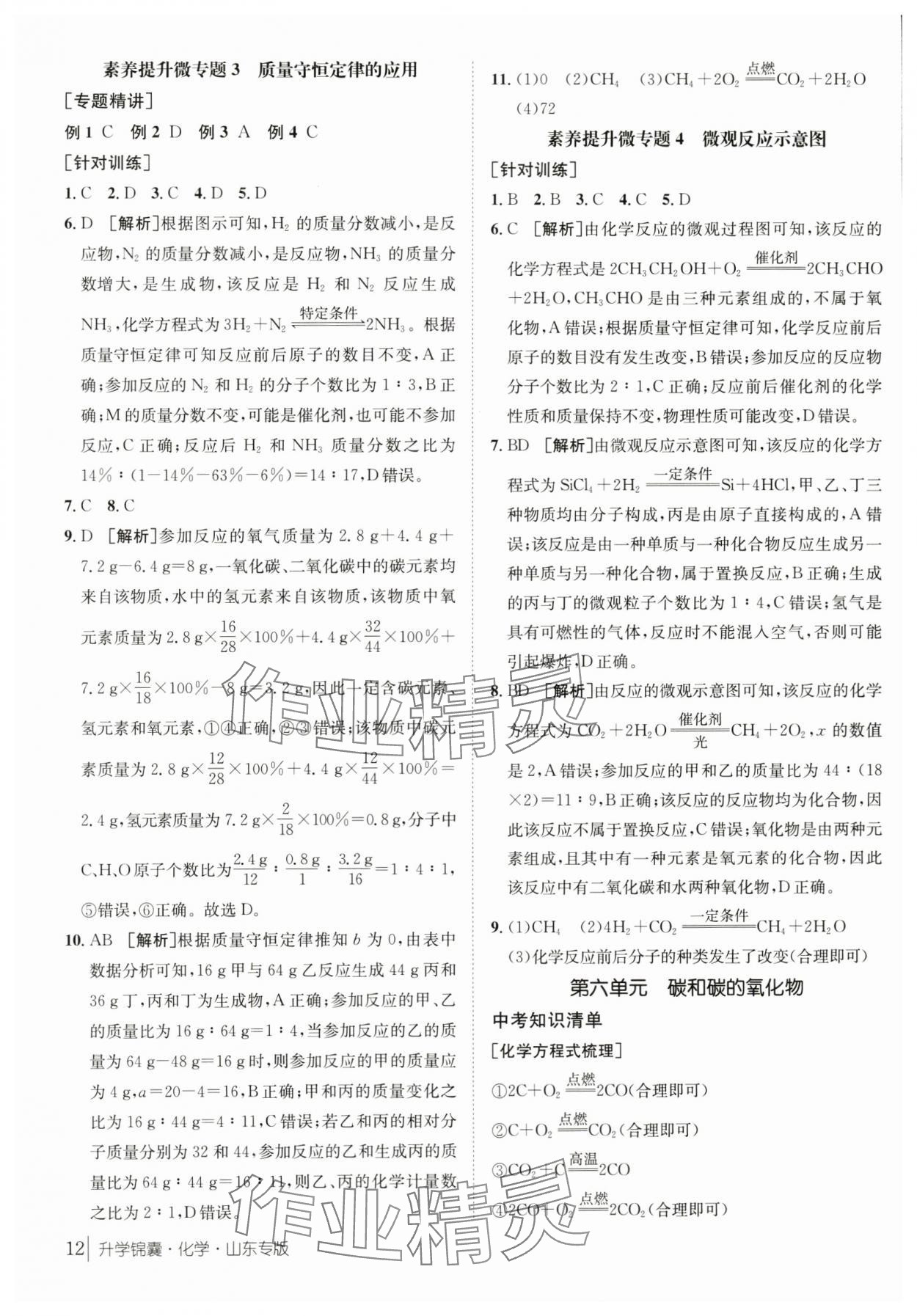 2024年升學(xué)錦囊化學(xué)山東專版 第12頁