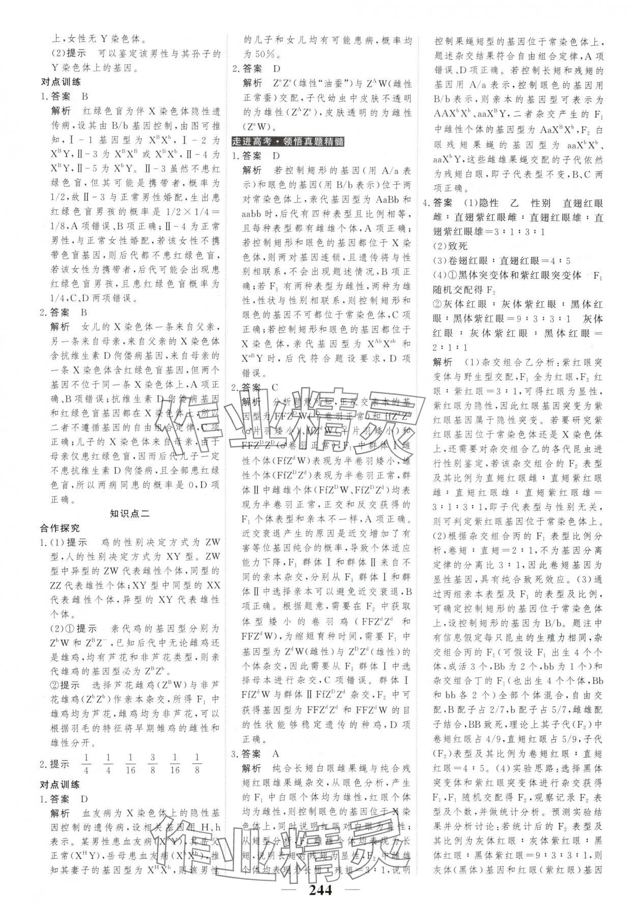 2025年新教材同步學案高考調研生物必修2人教版 第14頁