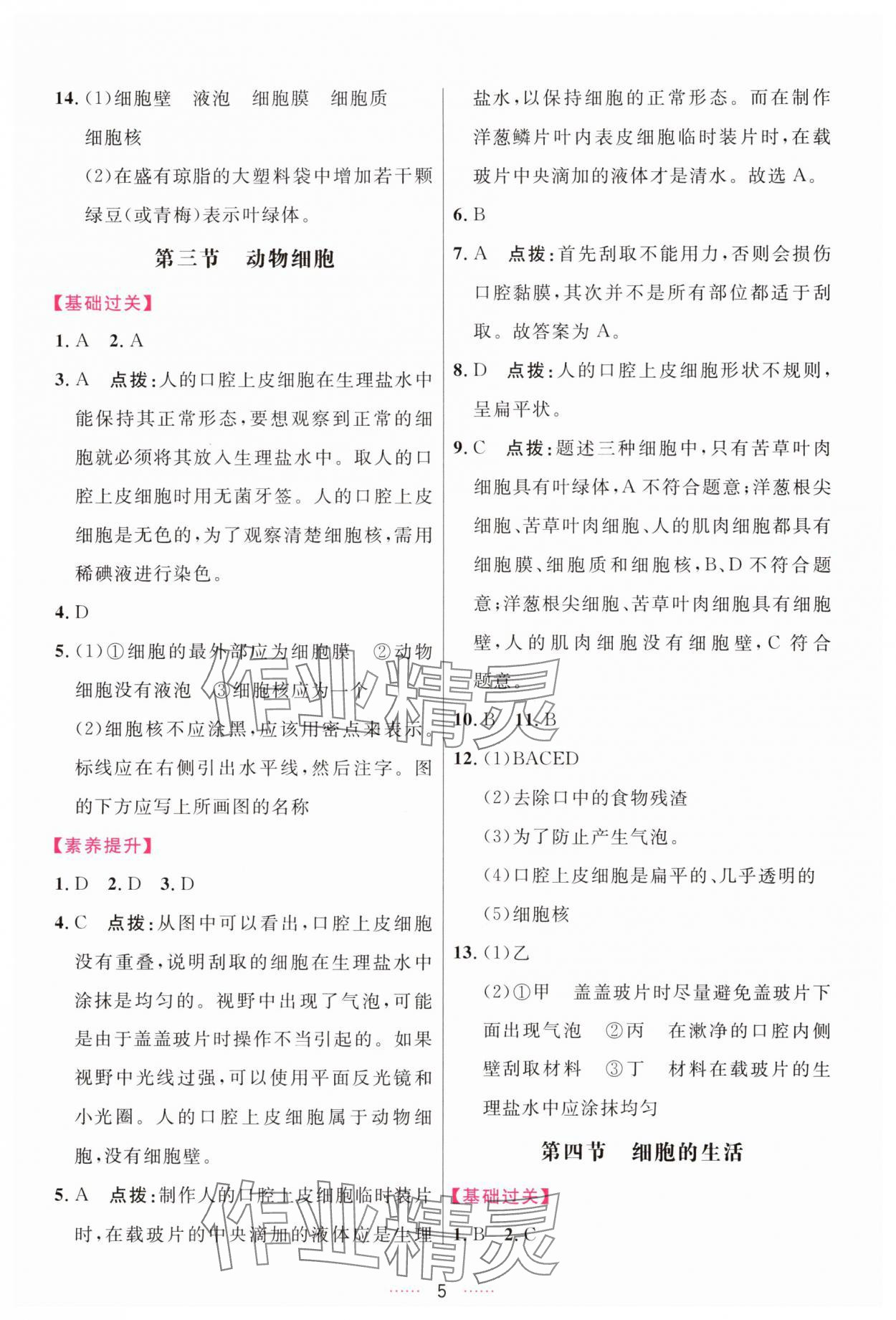 2025年三維數字課堂七年級生物上冊人教版 第5頁