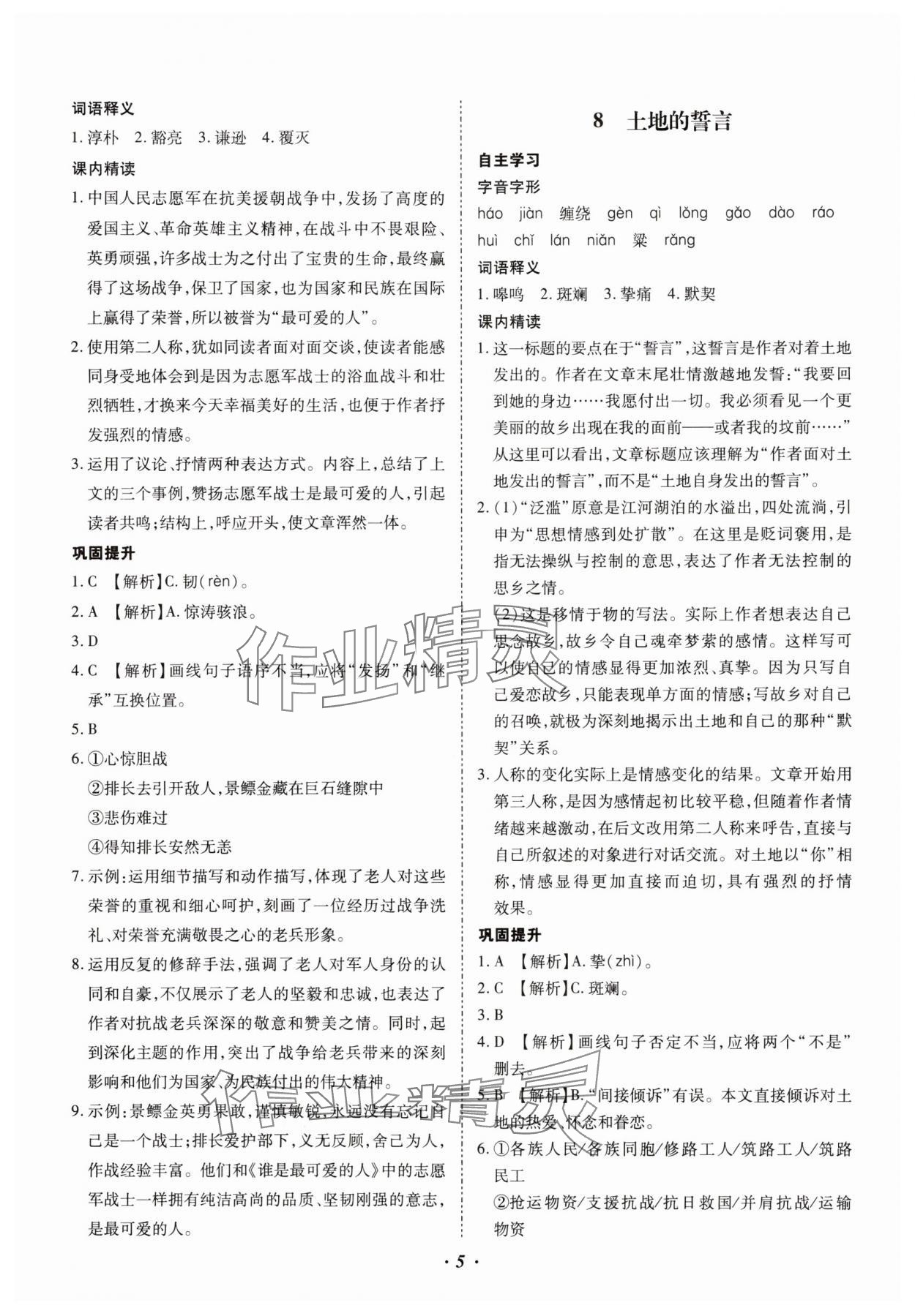 2025年本土攻略七年級語文下冊人教版云南專版 參考答案第5頁