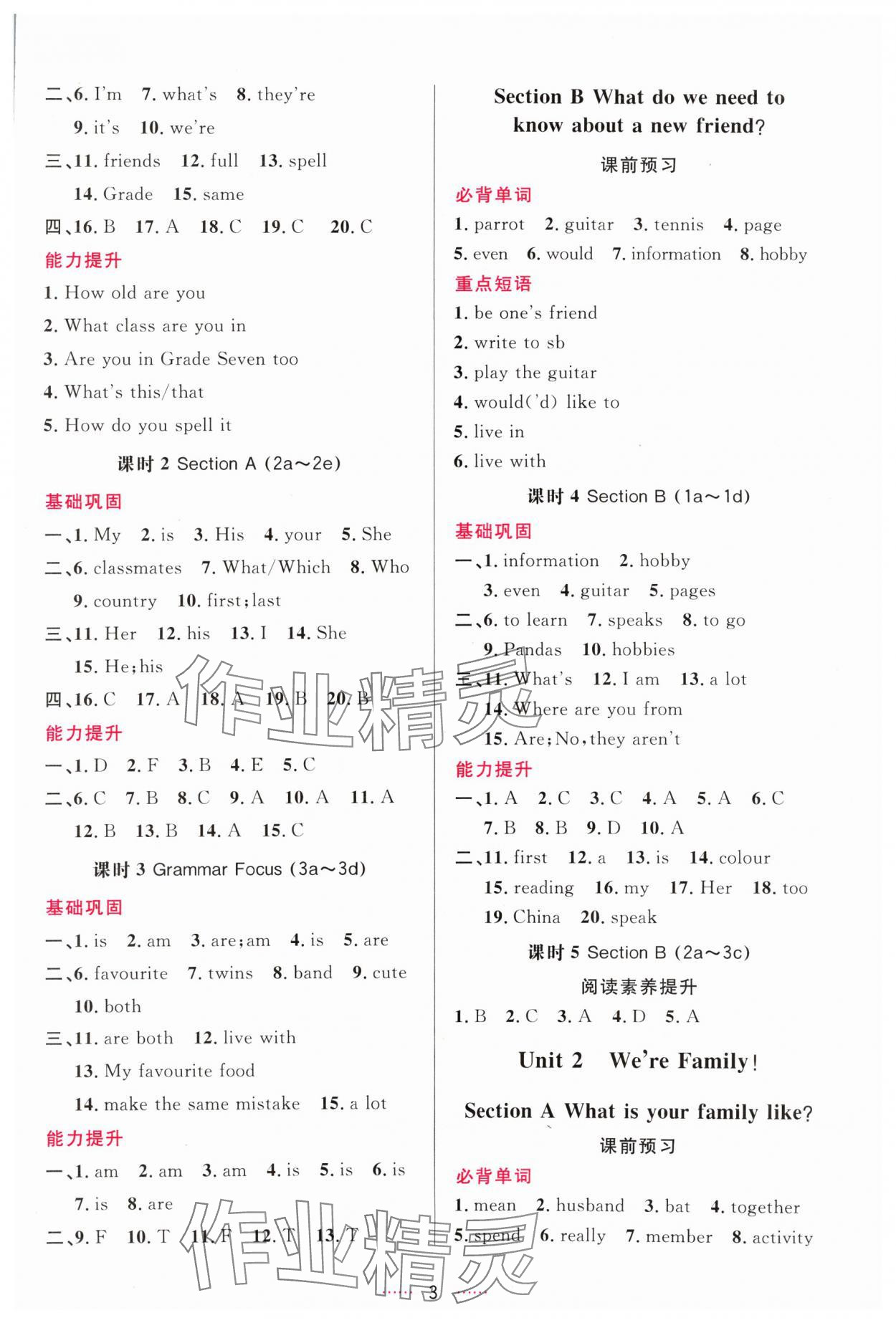 2024年三維數(shù)字課堂七年級英語上冊人教版 第3頁