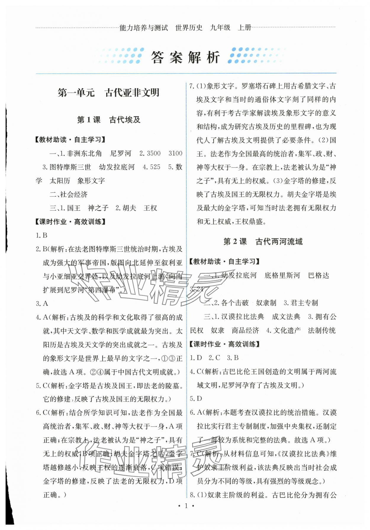 2025年能力培养与测试九年级世界历史上册人教版湖南专版 第1页