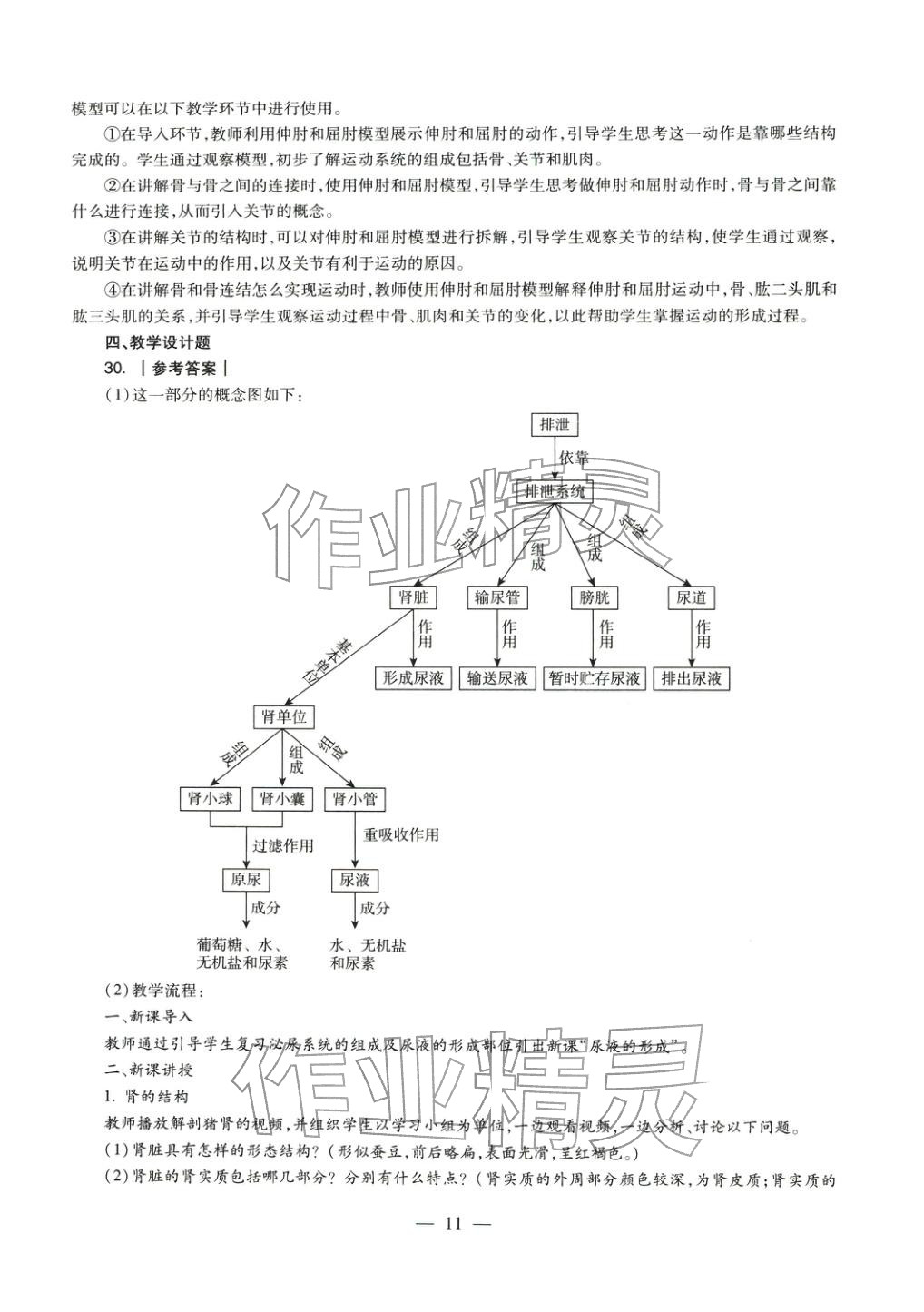 2025年生物学科知识与教学能力历年真题及标准预测试卷上册&nbsp;参考答案第11页