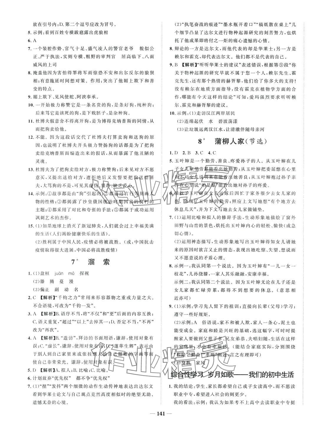 2024年天成導(dǎo)學(xué)金典同步練九年級語文下冊人教版河北專版 第3頁