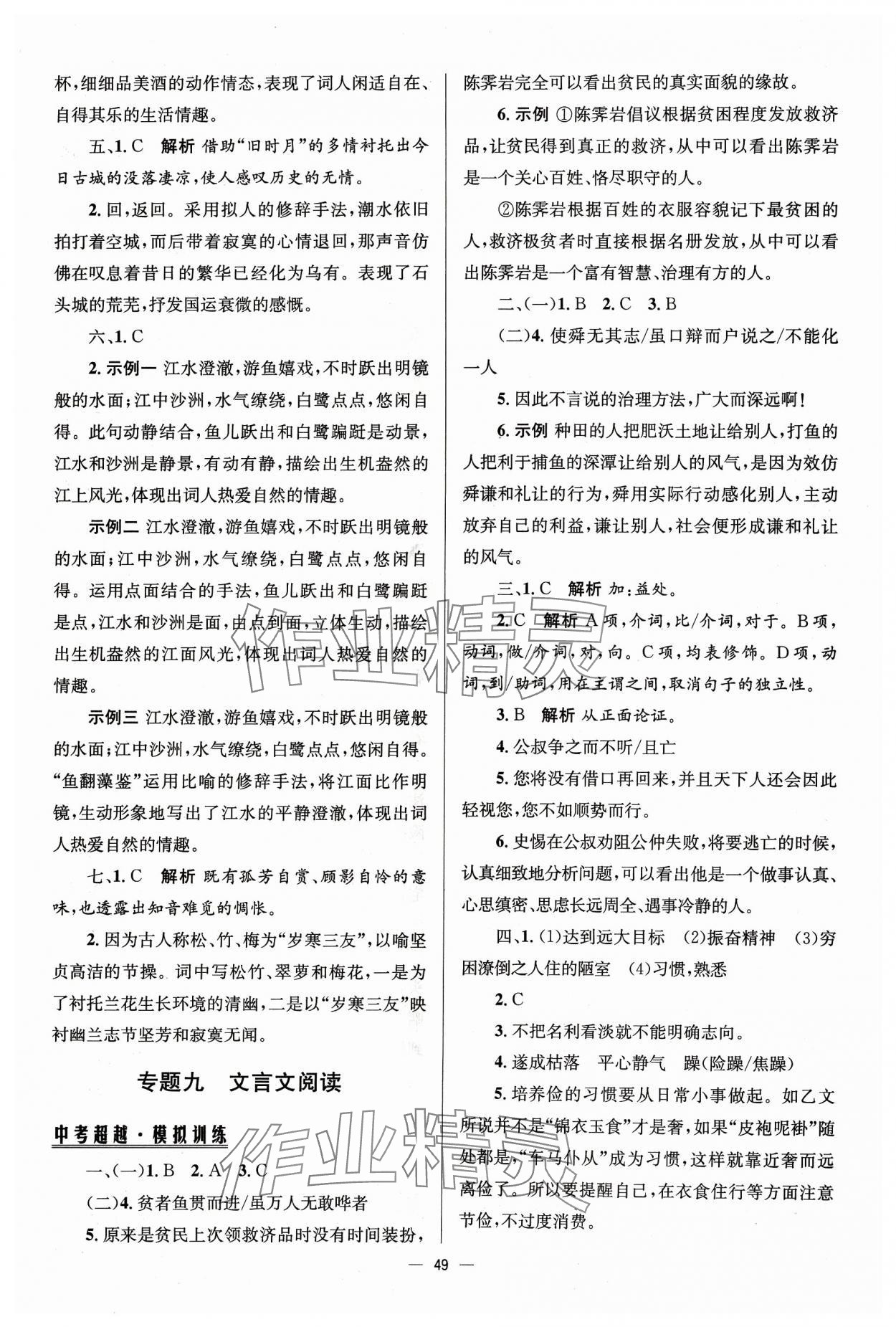 2024年初中總復習手冊北京師范大學出版社語文 第5頁