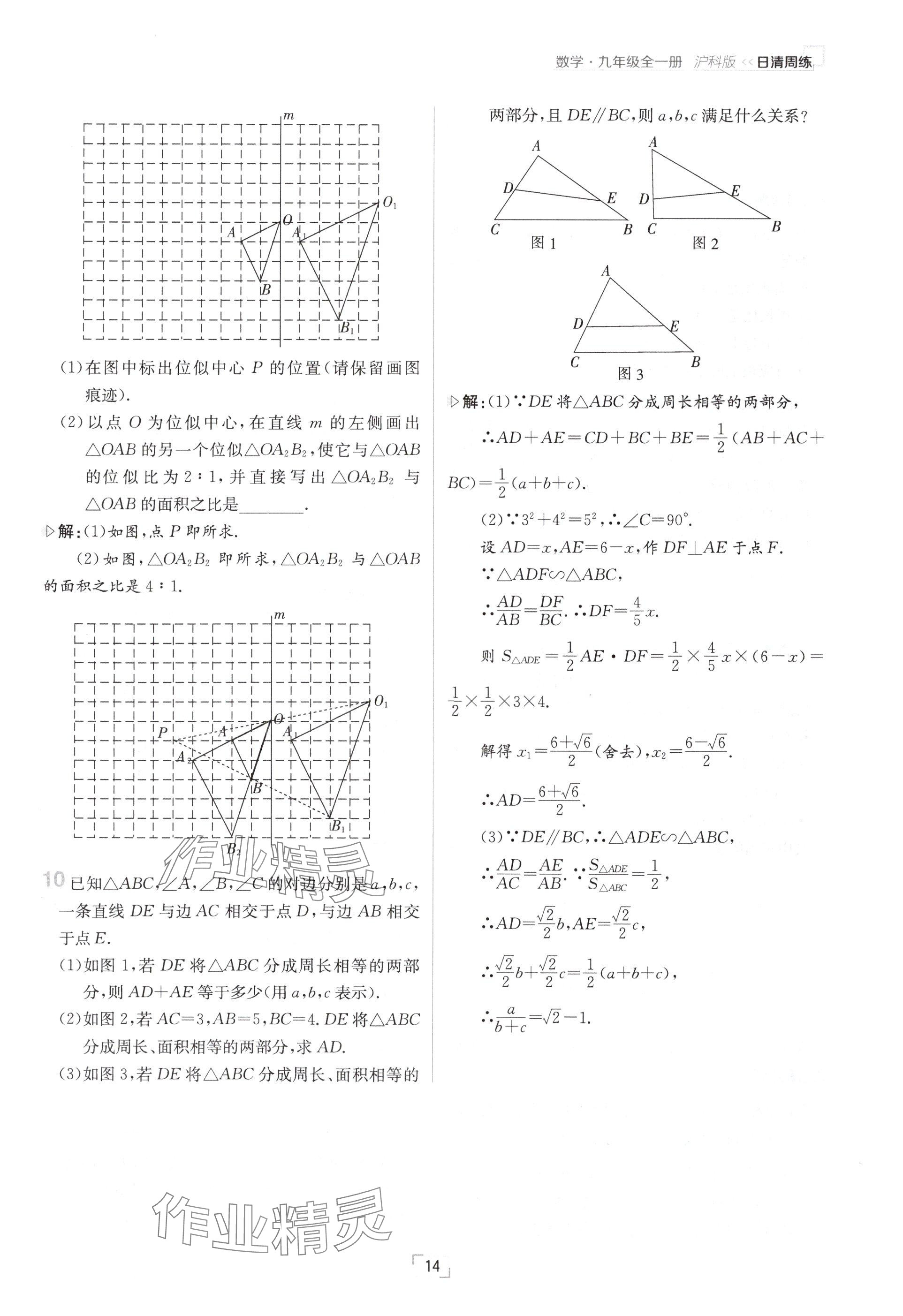 2024年日清周練九年級數(shù)學(xué)全一冊滬科版 參考答案第14頁