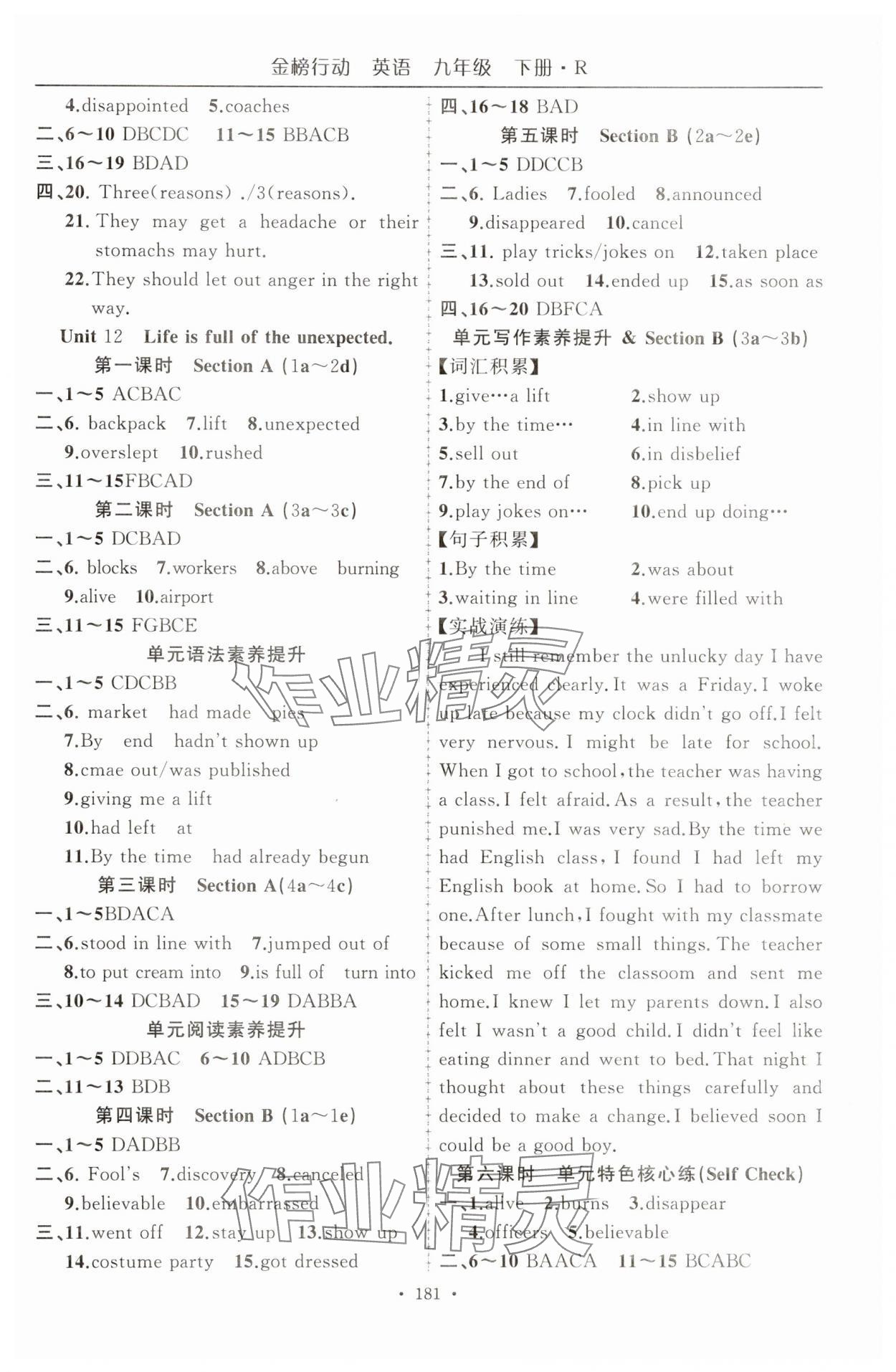 2025年金榜行动九年级英语下册人教版 参考答案第2页