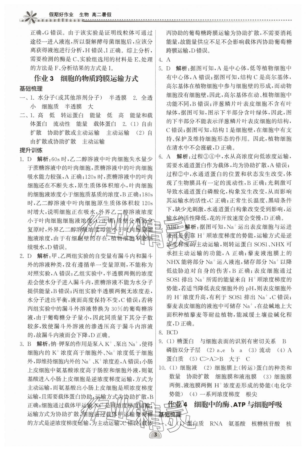 2025年假期好作業(yè)暨期末復習暑假高二生物 參考答案第3頁