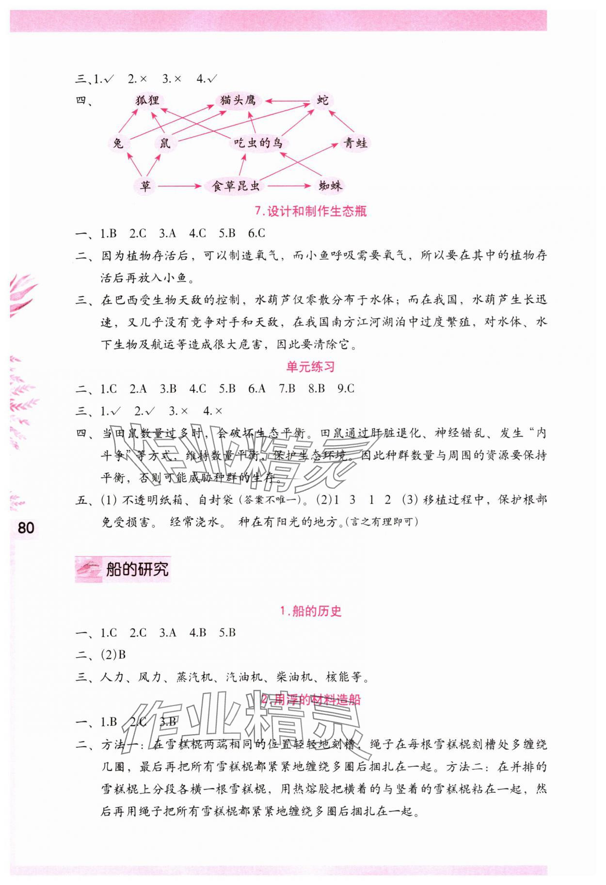 2025年學習與鞏固五年級科學下冊教科版 第2頁