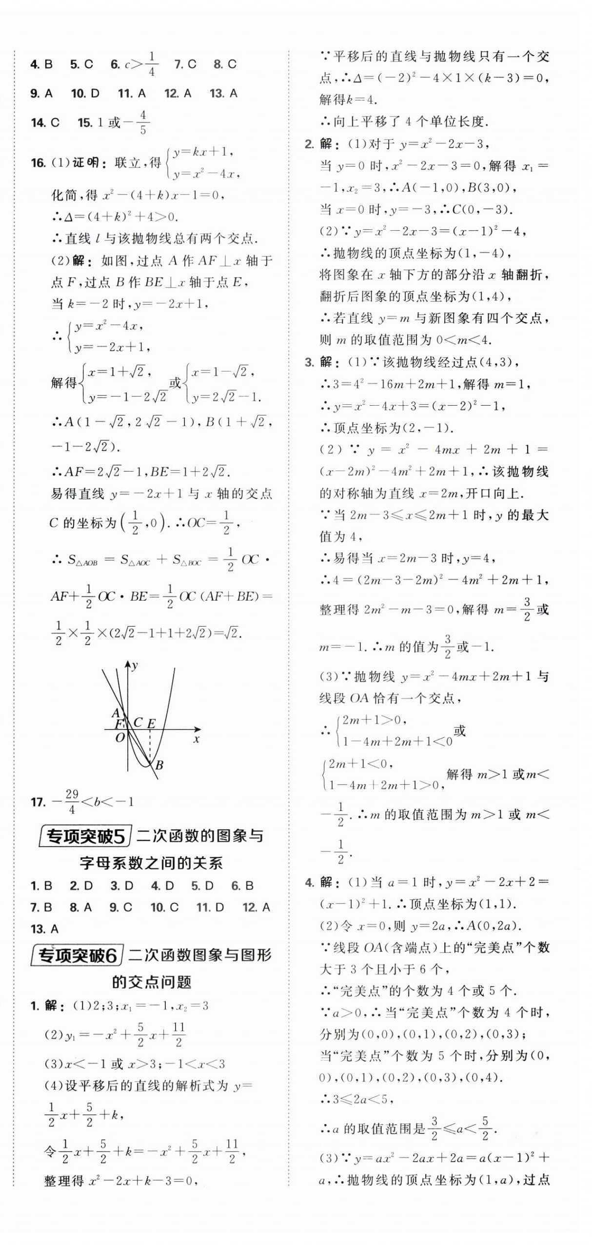 2025年点拨训练九年级数学上册人教版 第12页