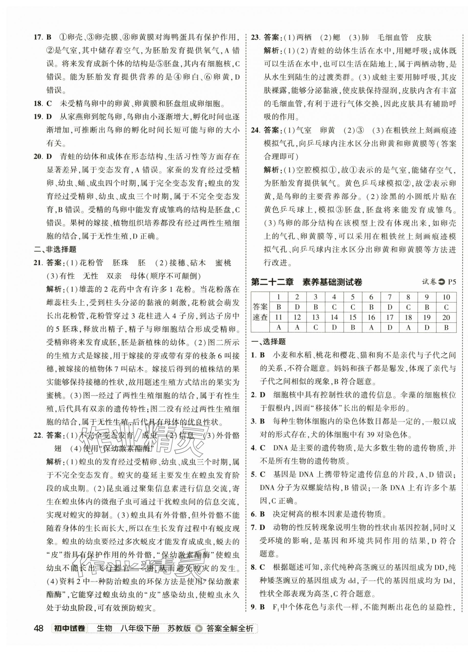 2025年5年中考3年模擬初中試卷生物中考蘇教版 第3頁