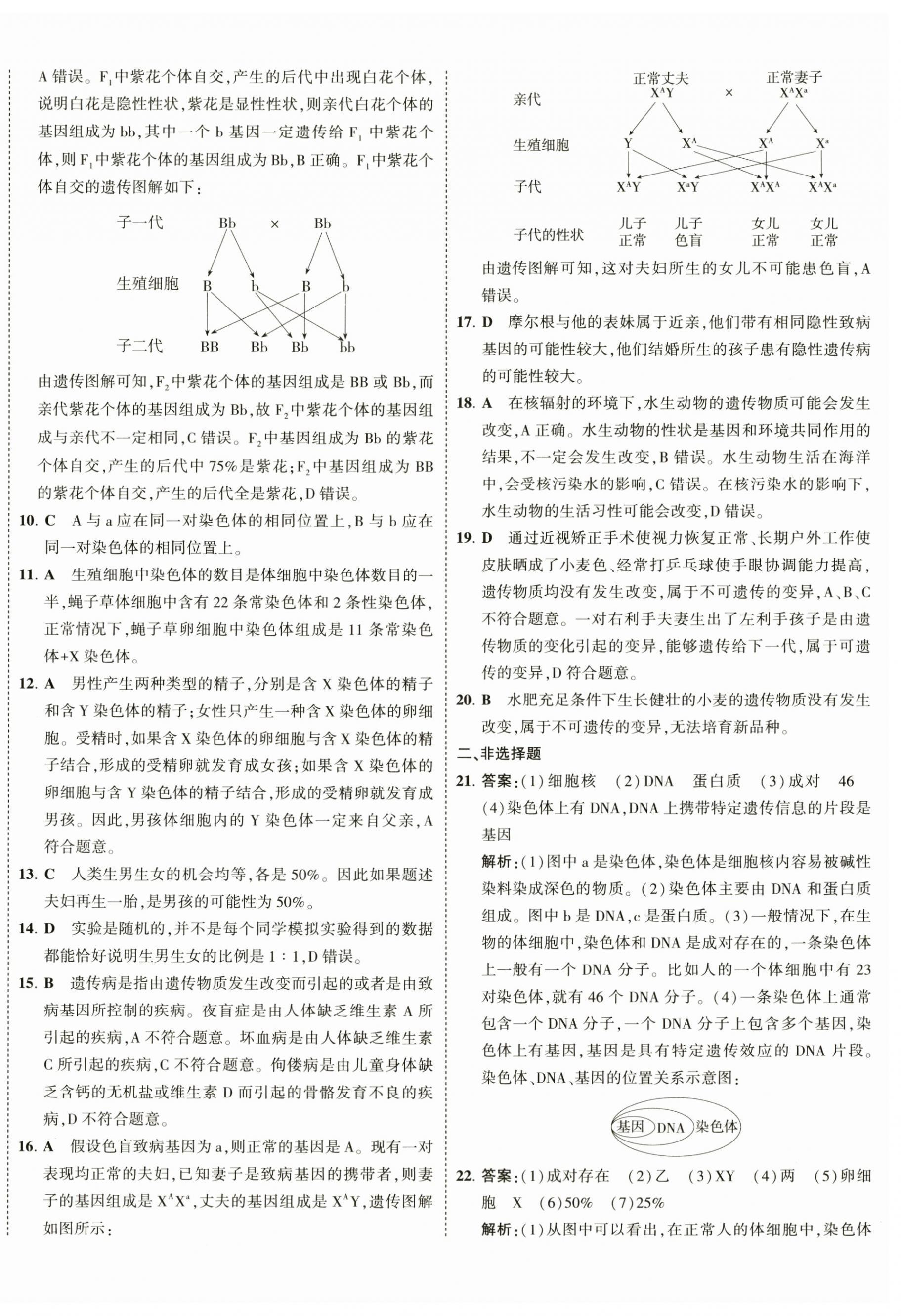 2025年5年中考3年模擬初中試卷生物中考蘇教版 第4頁