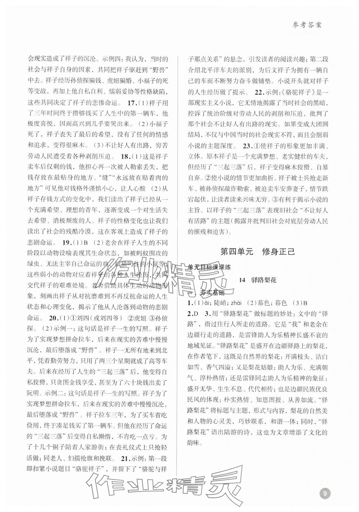 2025年初中語文大閱讀高效訓練七年級下冊 參考答案第9頁