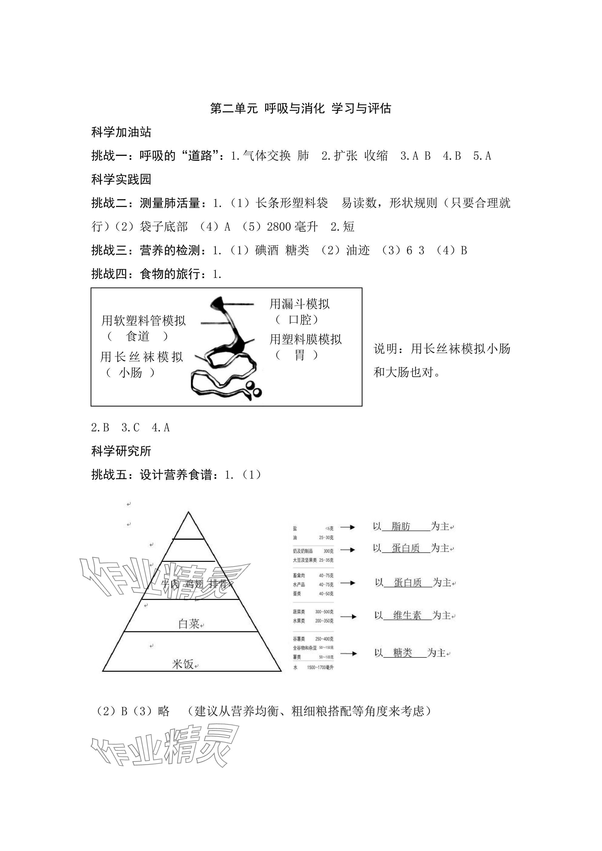 2024年綜合學(xué)習(xí)與評估四年級科學(xué)上冊教科版 參考答案第2頁