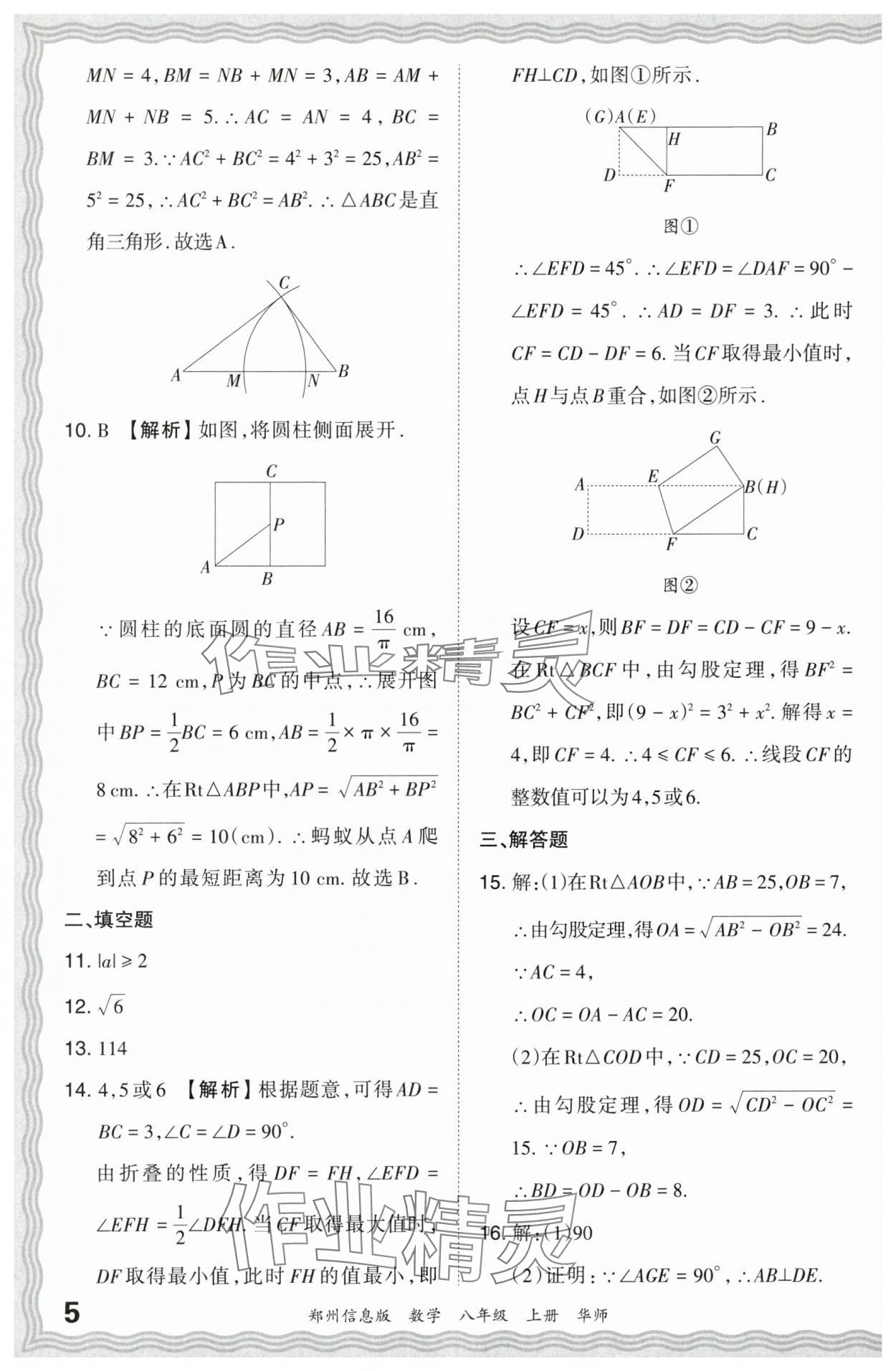 2023年王朝霞期末真題精編八年級(jí)數(shù)學(xué)上冊(cè)華師大版鄭州專版 參考答案第5頁(yè)