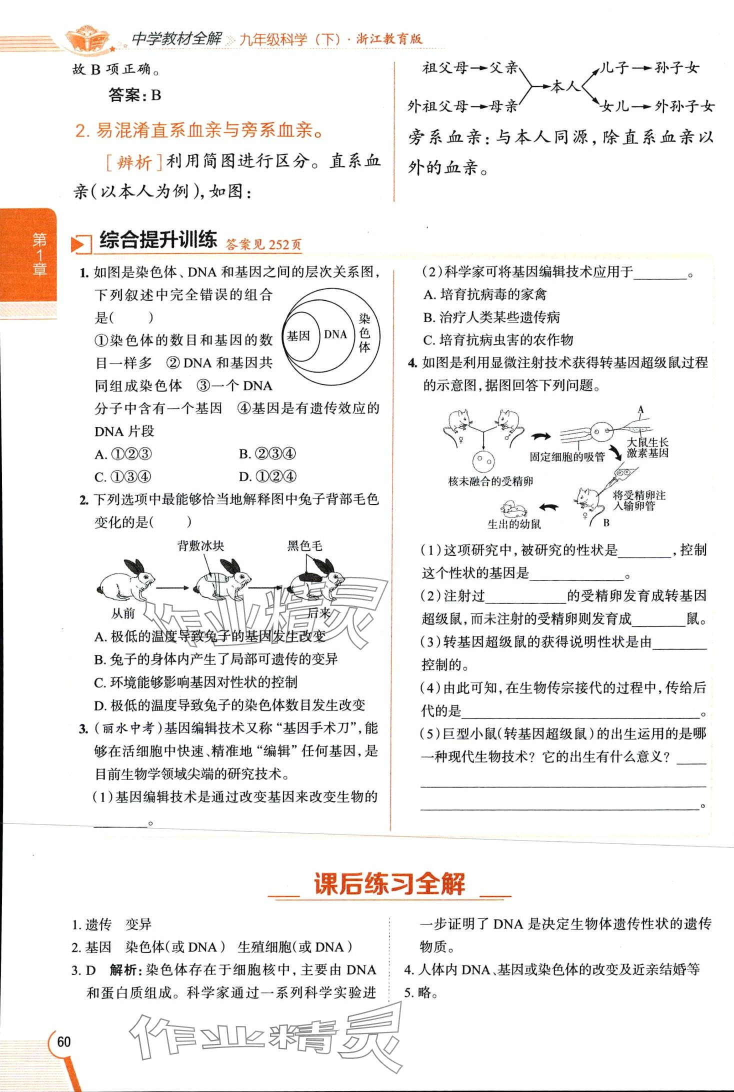 2024年教材全解九年級科學下冊浙教版 第60頁