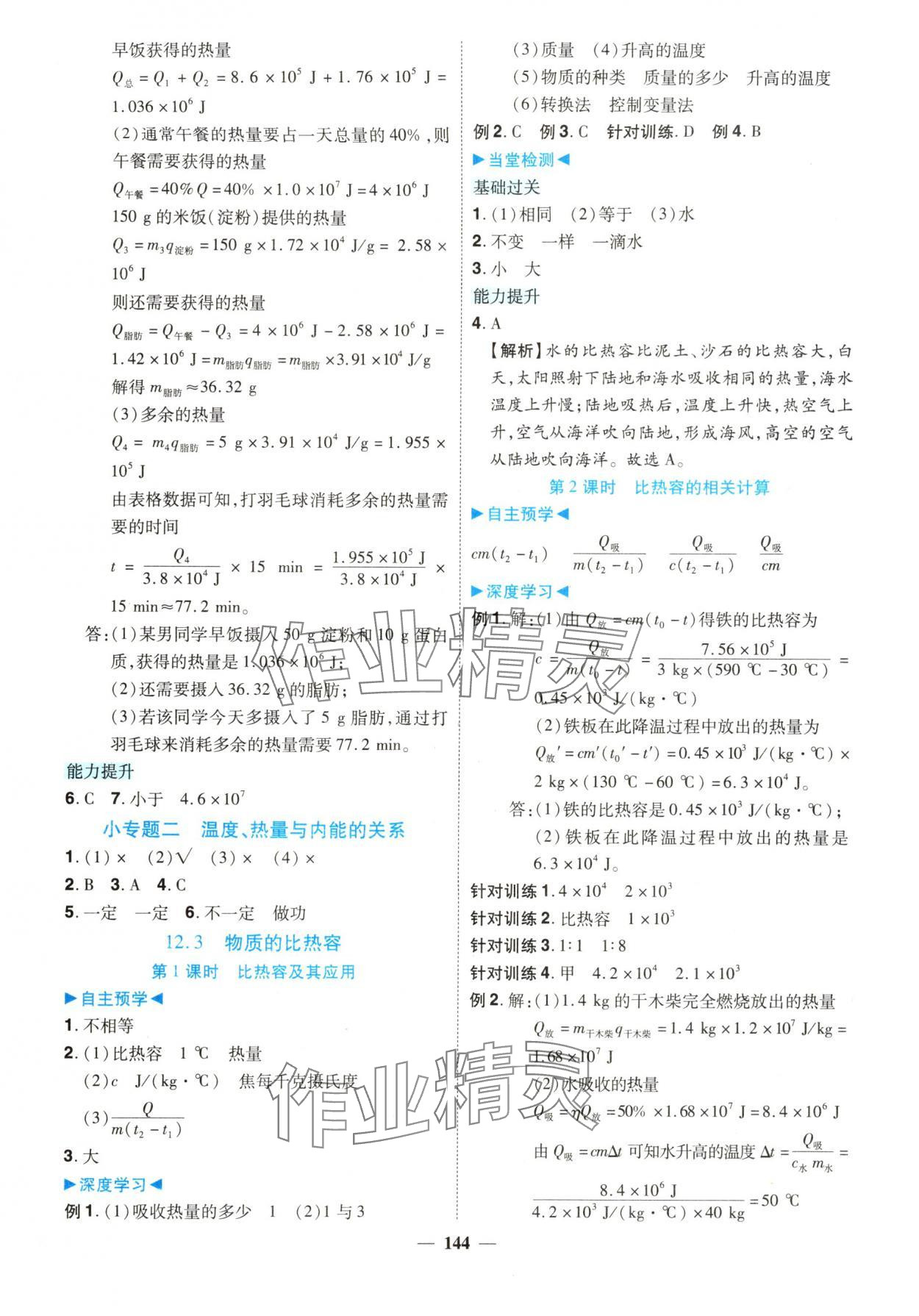 2025年南方新課堂金牌學案九年級物理上冊滬粵版 第4頁