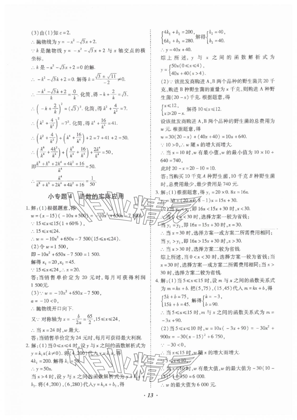 2025年本土攻略精準(zhǔn)復(fù)習(xí)方案數(shù)學(xué)中考云南專版 參考答案第13頁
