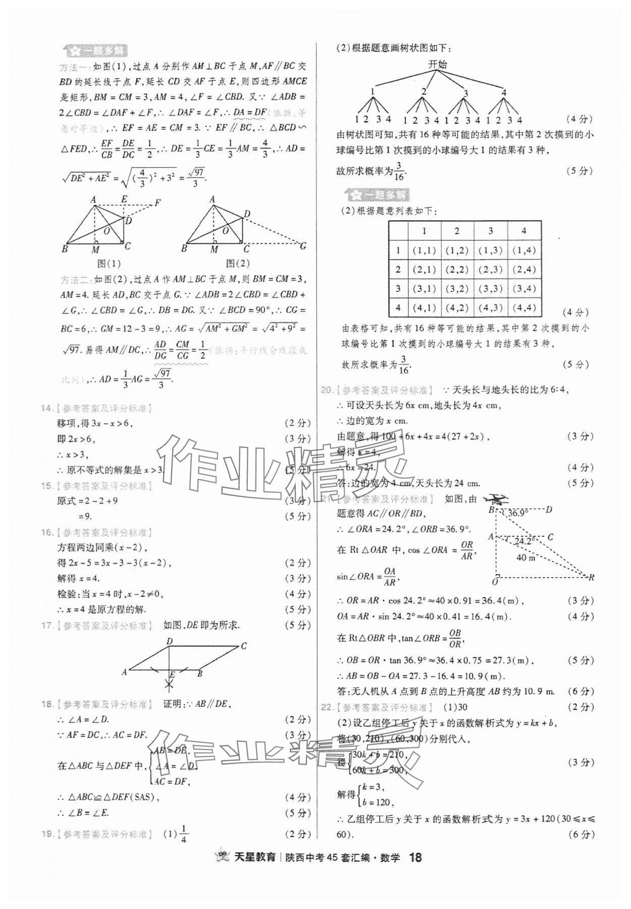 2024年金考卷45套匯編數(shù)學(xué)陜西專版 參考答案第18頁