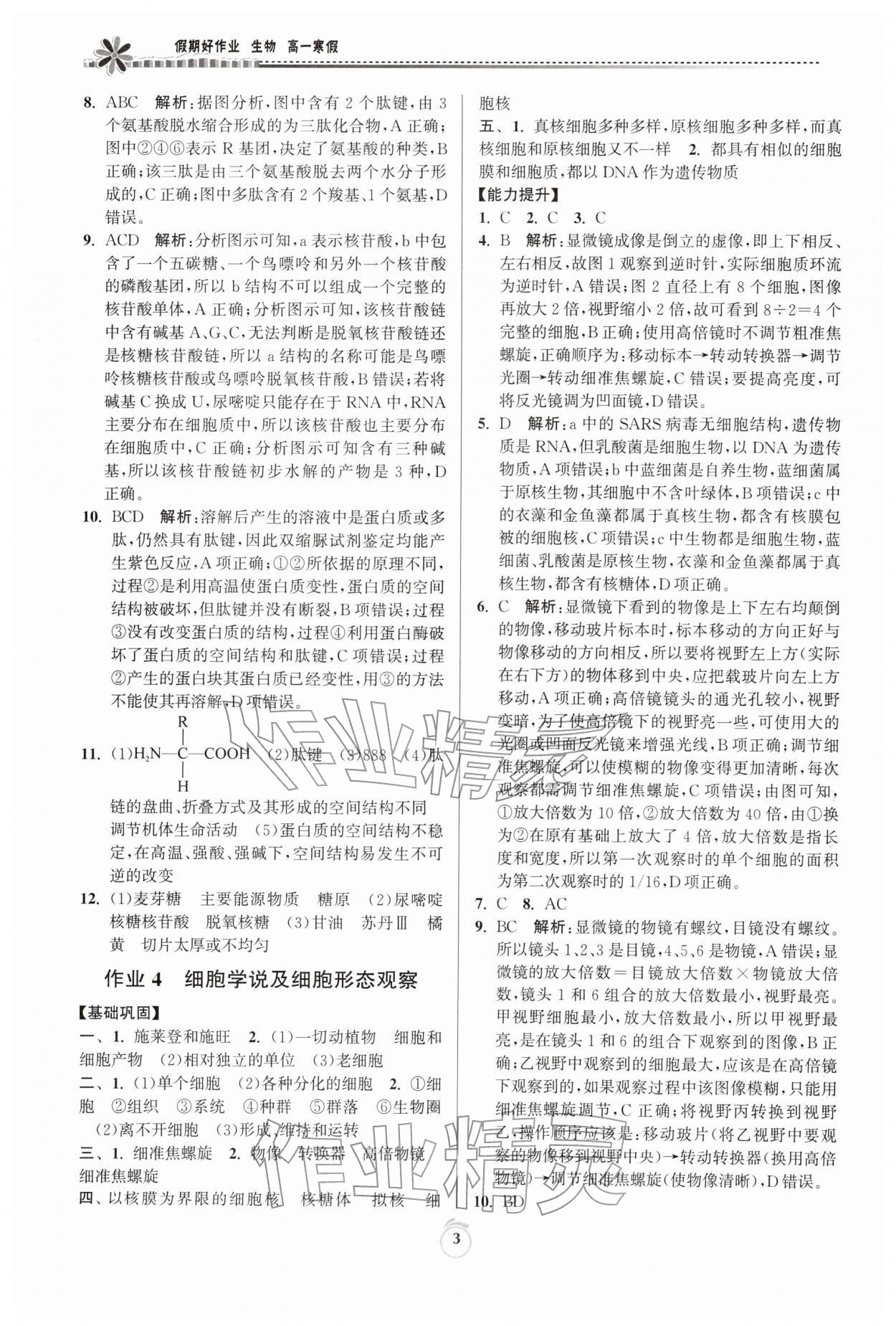 2026年假期好作业暨期末复习寒假高一生物&nbsp;参考答案第3页