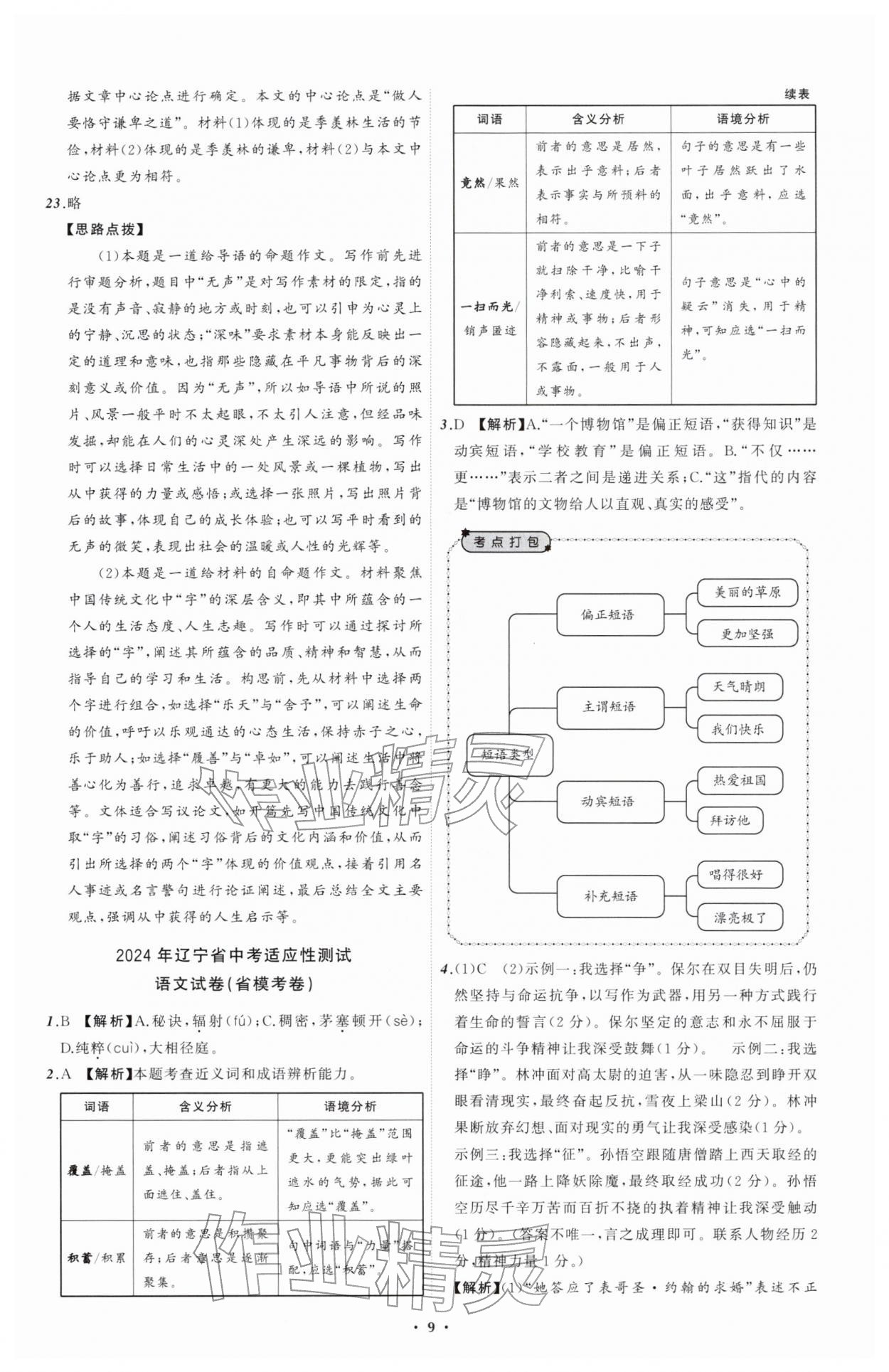 2026年中考必备辽宁师范大学出版社语文辽宁专版&nbsp;参考答案第9页