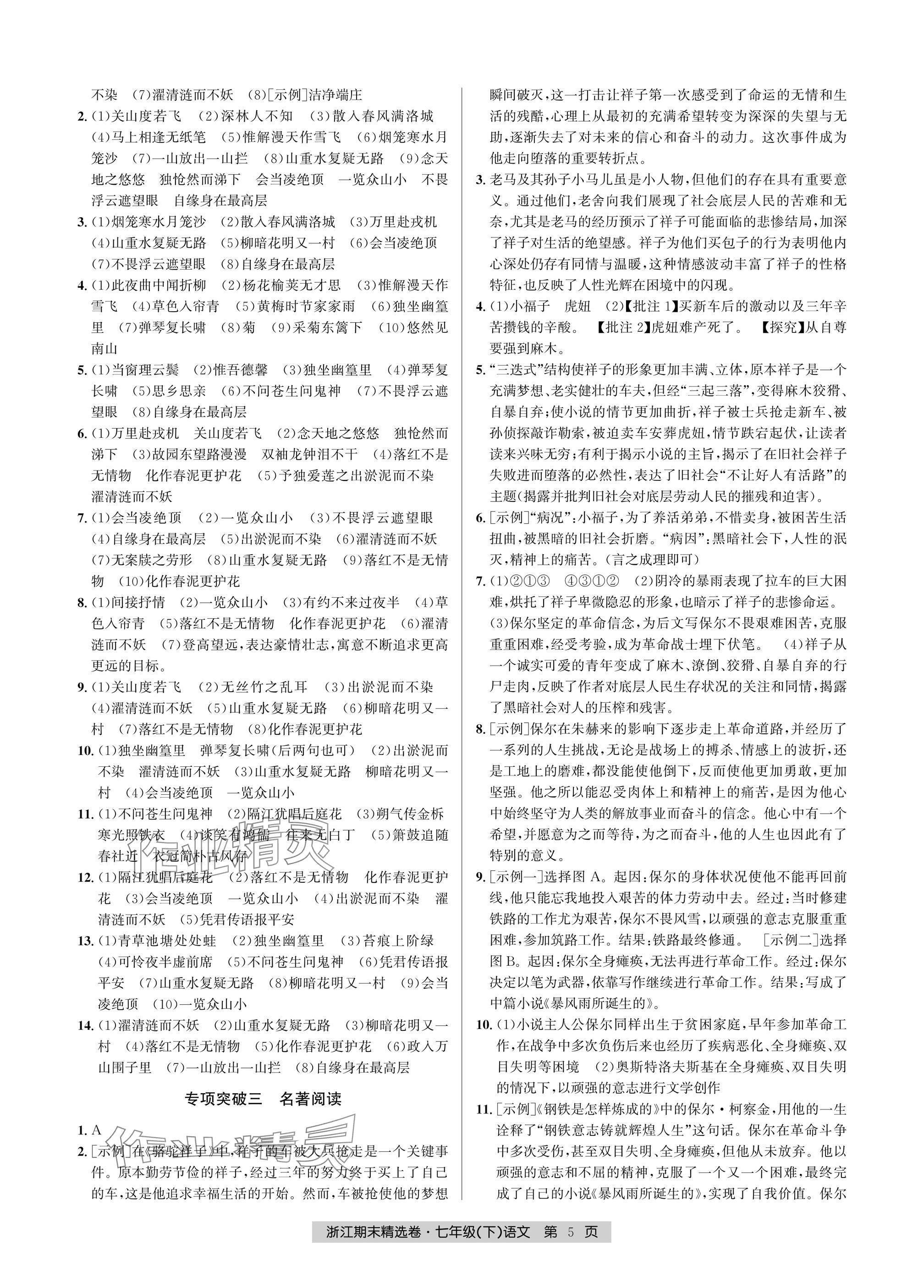 2025年浙江期末精選卷七年級語文下冊人教版 參考答案第5頁