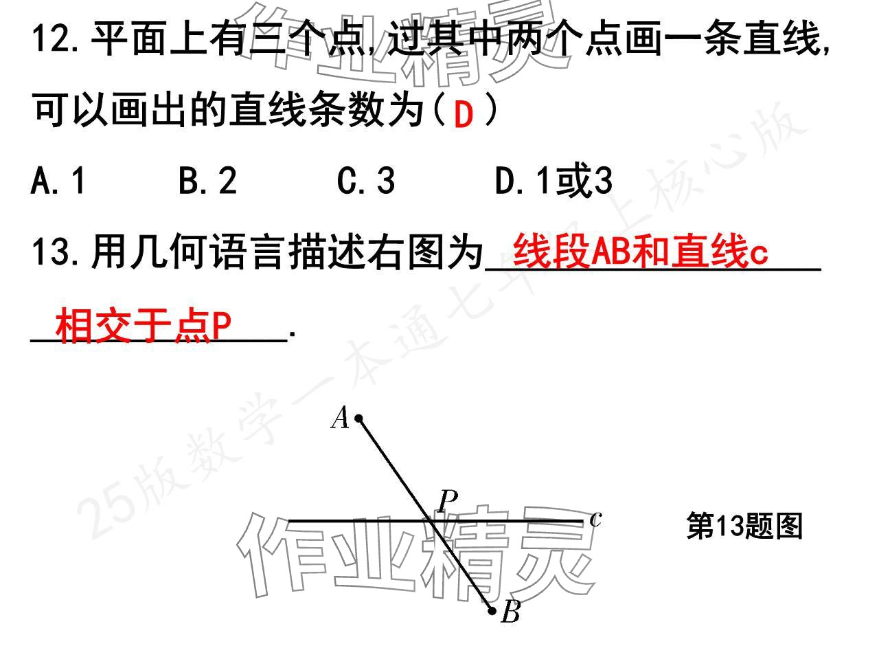 2024年一本通武漢出版社七年級數(shù)學上冊北師大版核心板 參考答案第10頁