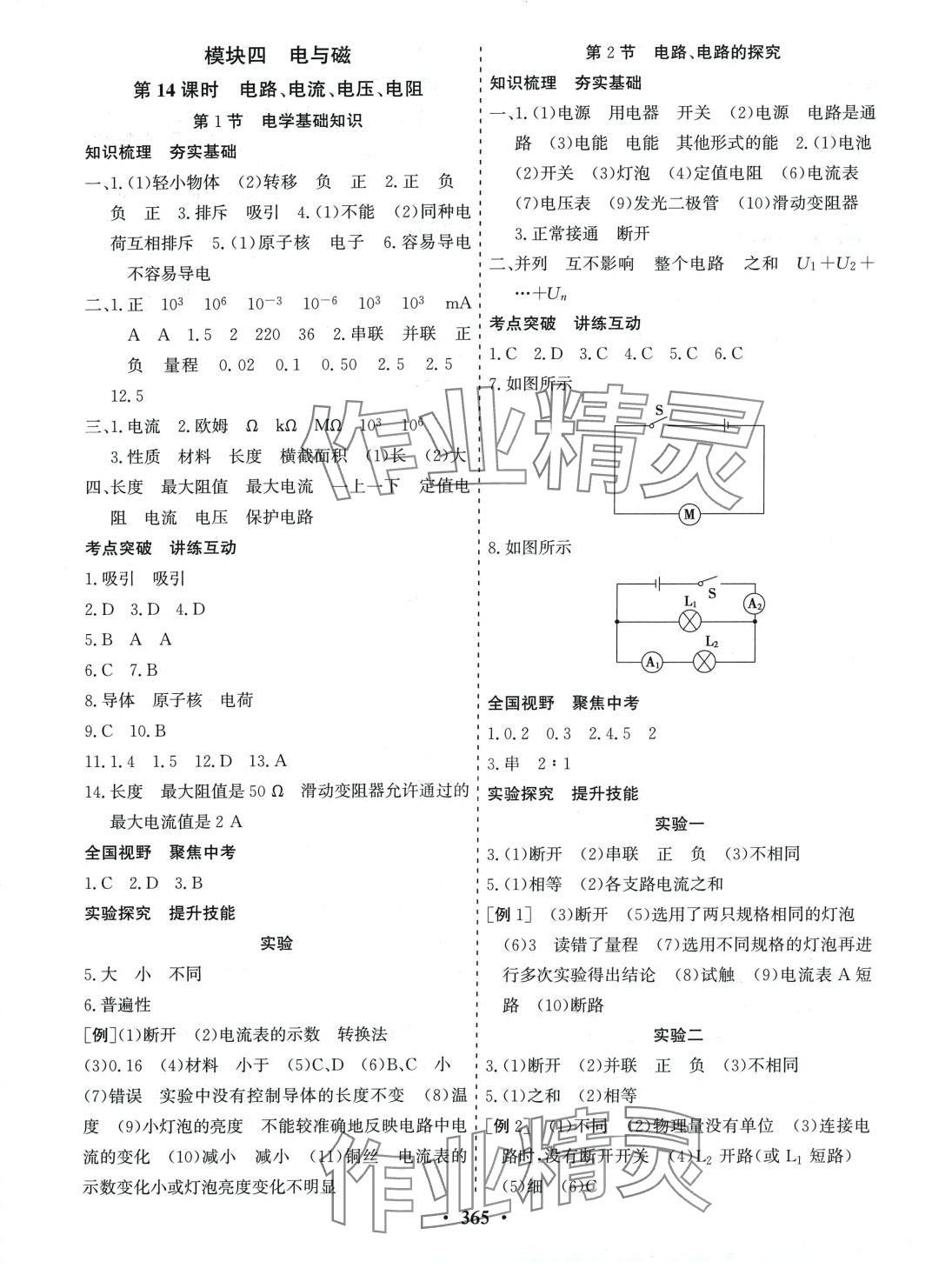 2024年優(yōu)化探究物理濟(jì)南版 第11頁(yè)