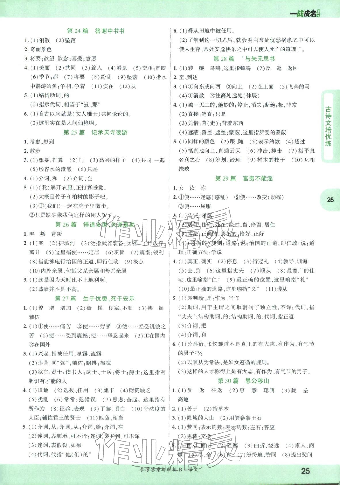 2026年纯练版总复习九年级语文全一册人教版&nbsp;第25页