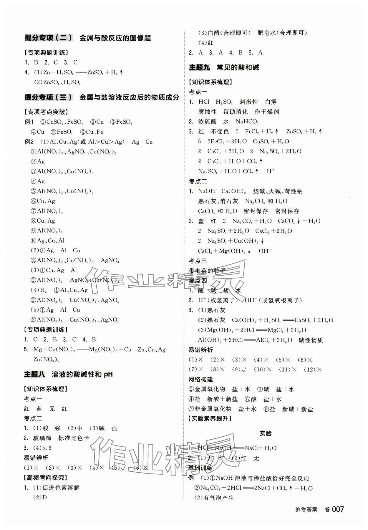 2025年全品中考复习方案化学人教版 参考答案第6页