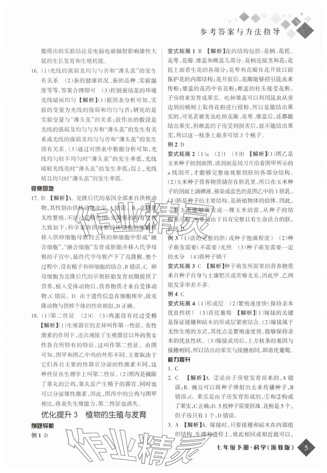 2025年勵耘新培優(yōu)七年級科學(xué)下冊浙教版 參考答案第4頁
