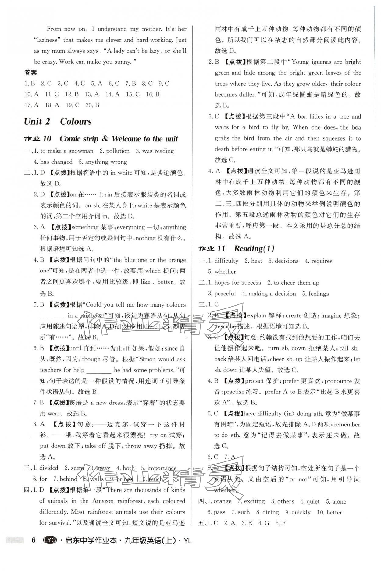 2025年啟東中學作業(yè)本九年級英語上冊譯林版連云港專版 第6頁