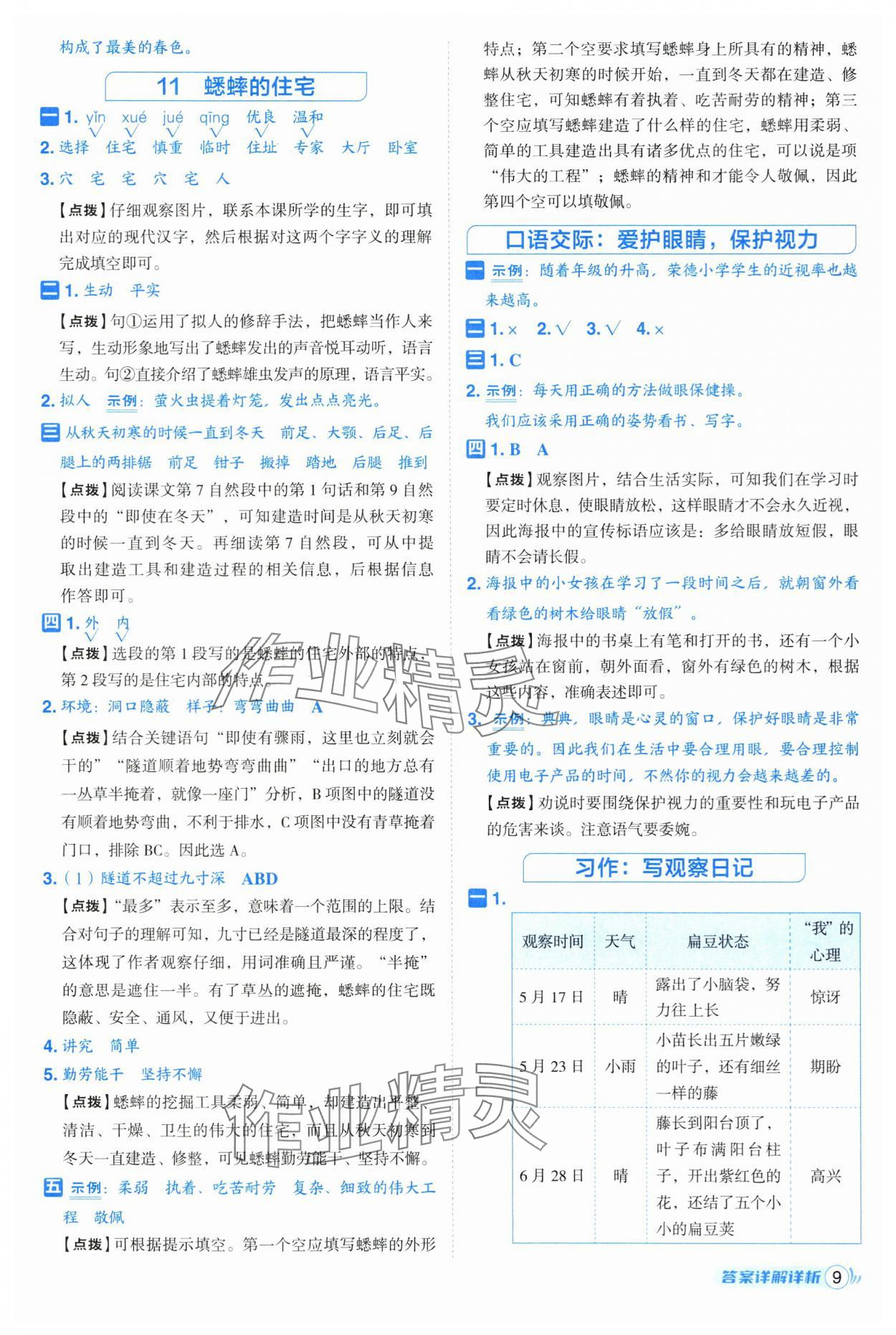 2025年綜合應(yīng)用創(chuàng)新題典中點(diǎn)四年級(jí)語(yǔ)文上冊(cè)人教版 第9頁(yè)