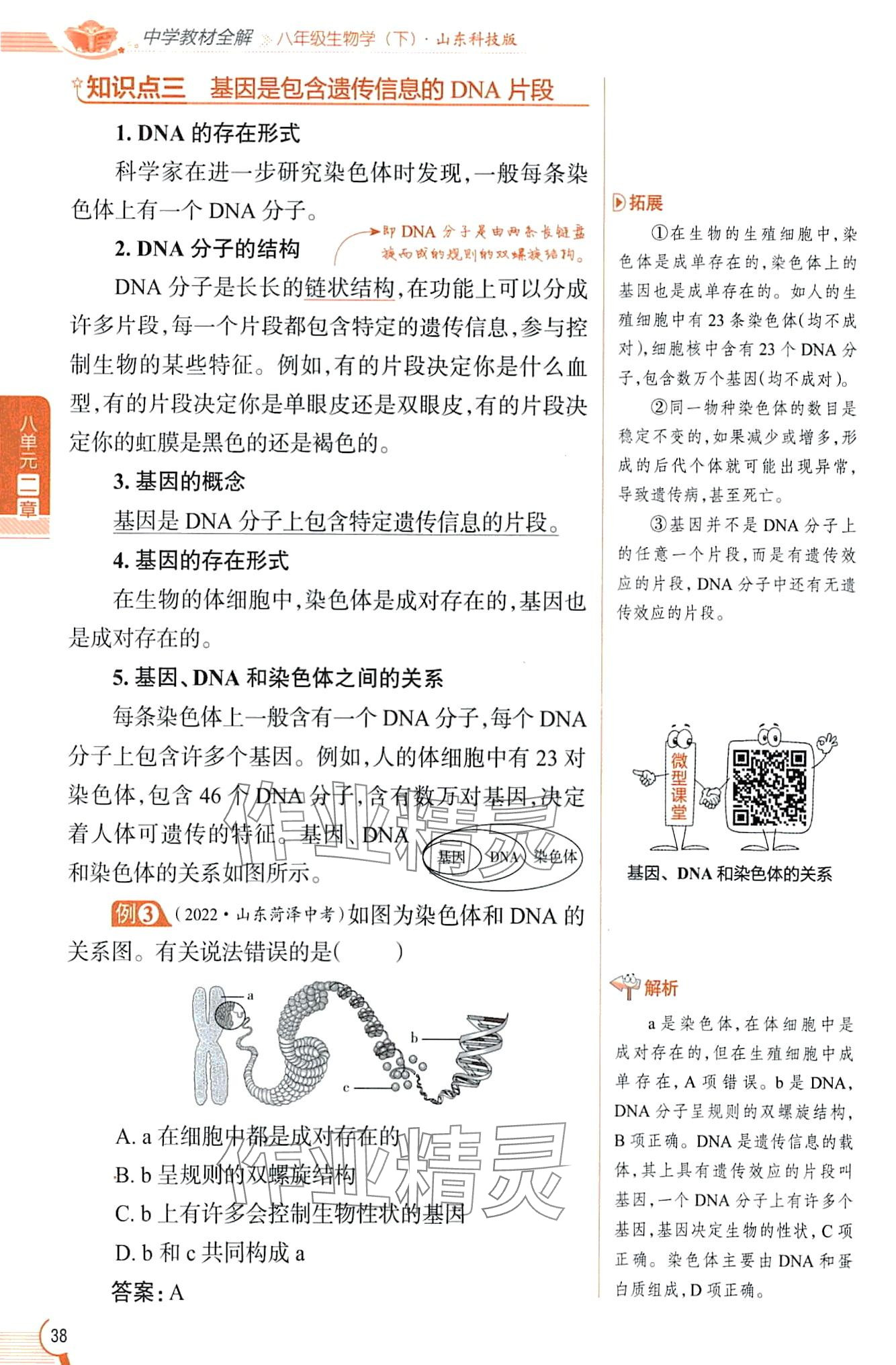 2024年教材課本八年級生物下冊魯科版五四制 第38頁