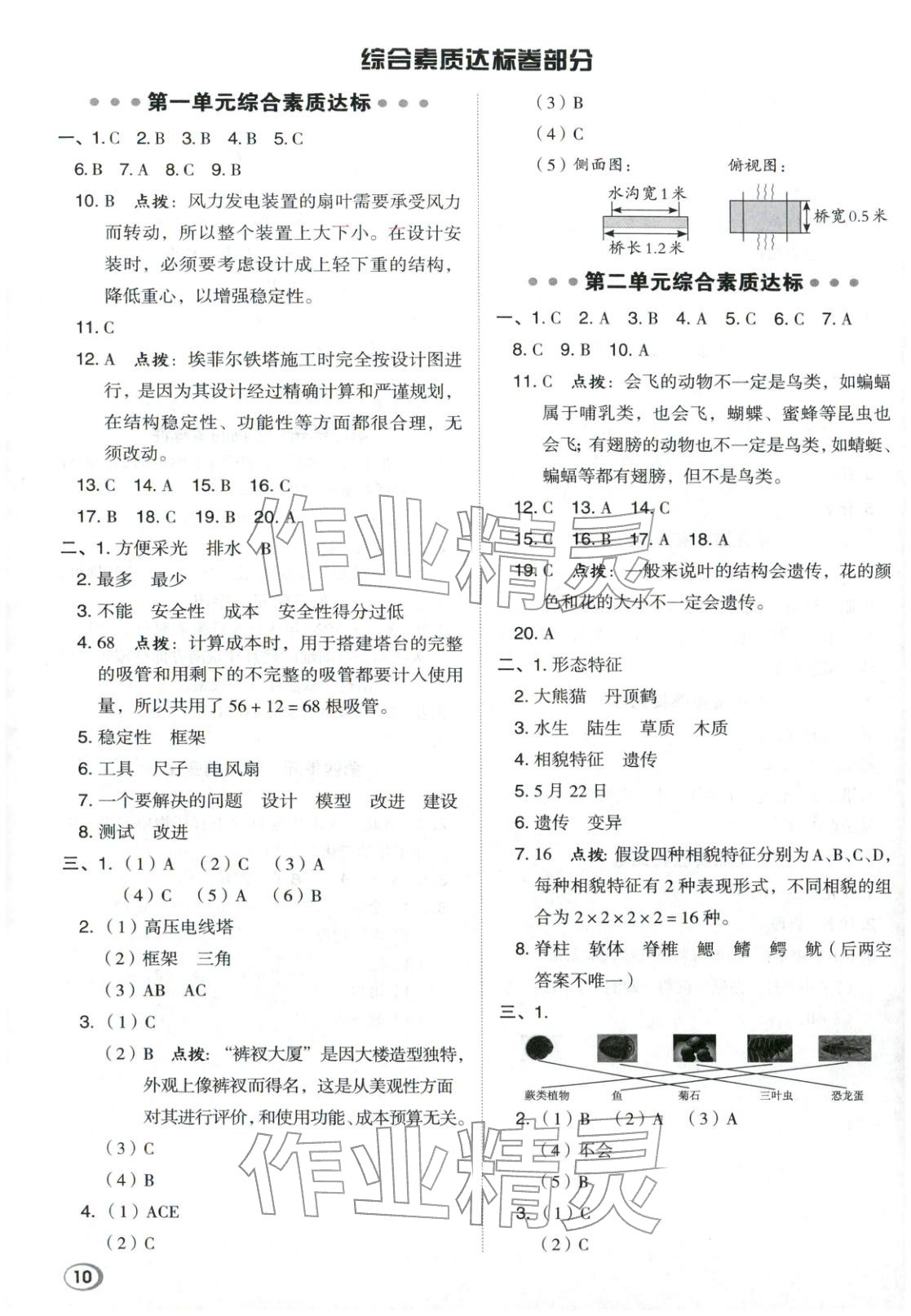 2026年综合应用创新题典中点六年级科学下册教科版&nbsp;第10页